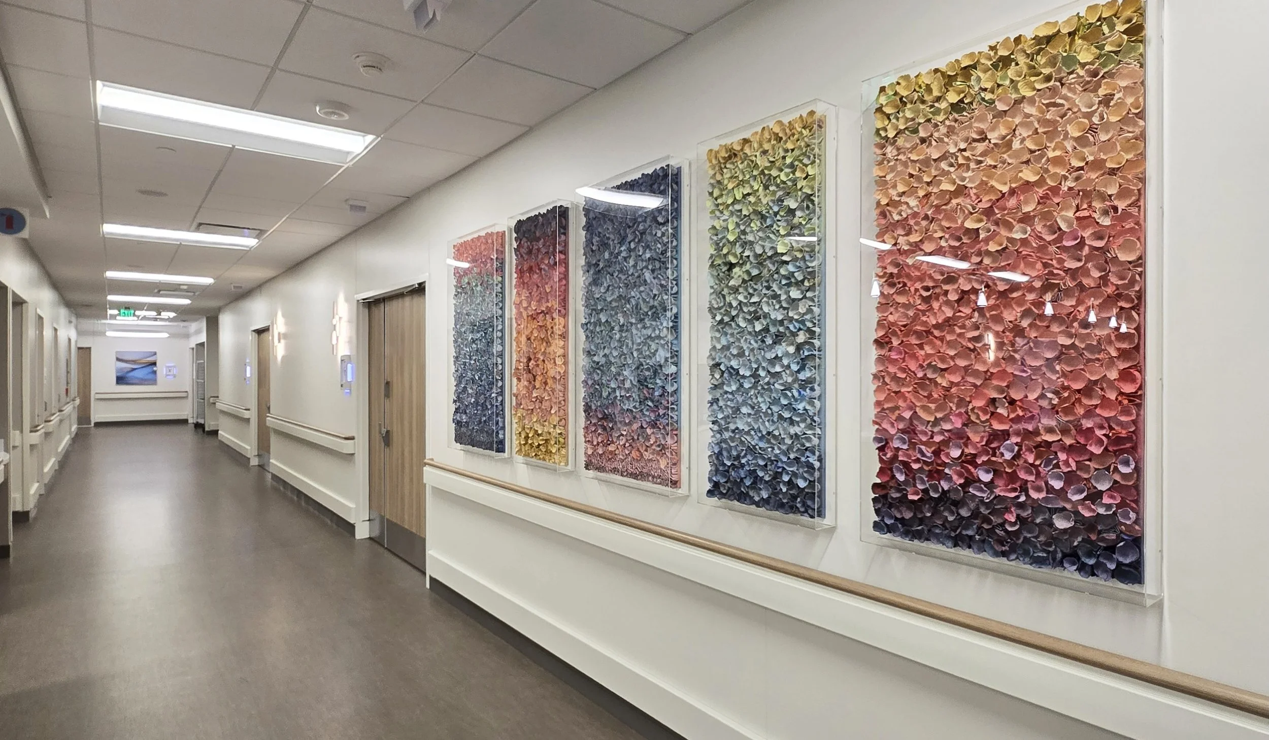 Women's Floor, Houston Methodist Hospital Cypress, TX / acrylic on handmade paper / five panels - total size 108" x 48"