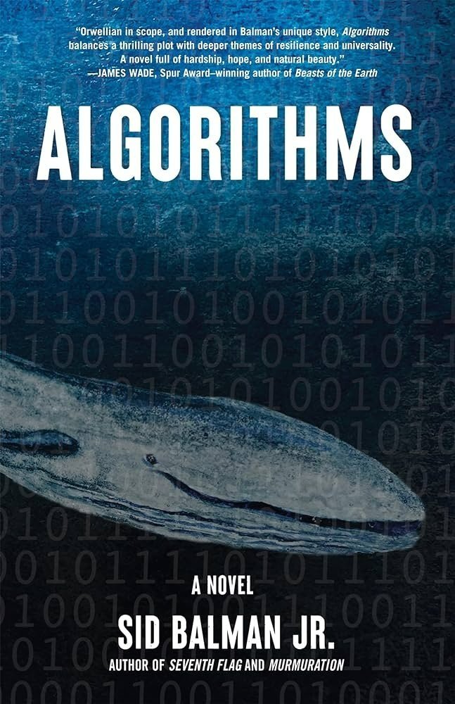 Cover of Balman's Novel Algorithms