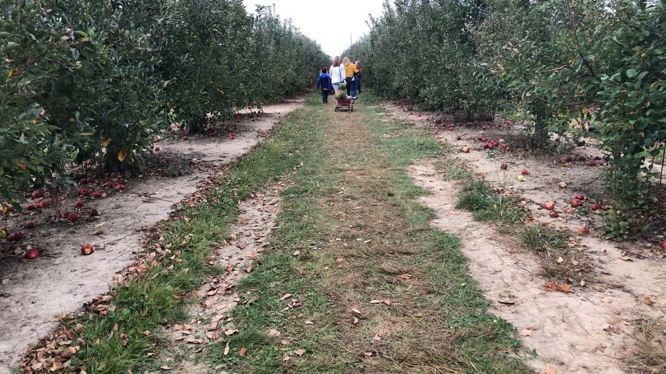 Fall is Near: Things to Do This September