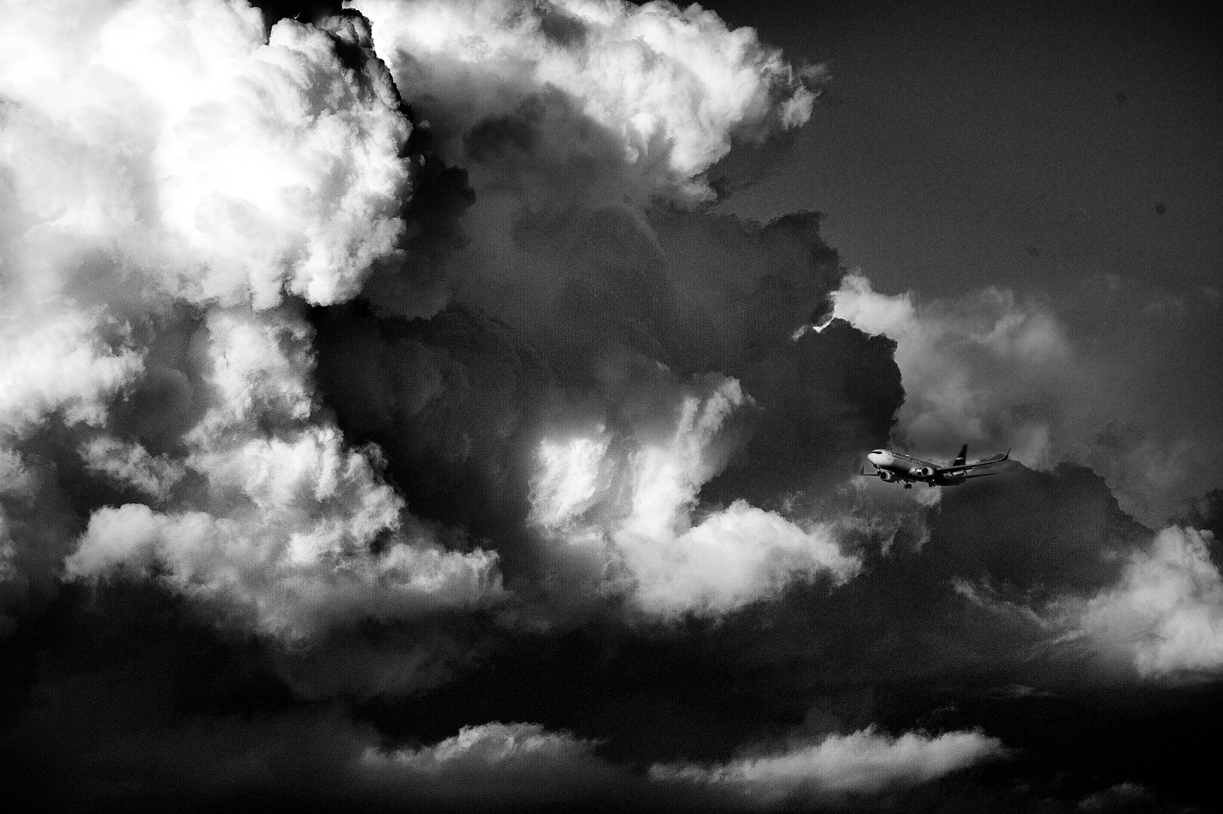 DSC_4950BII.jpg