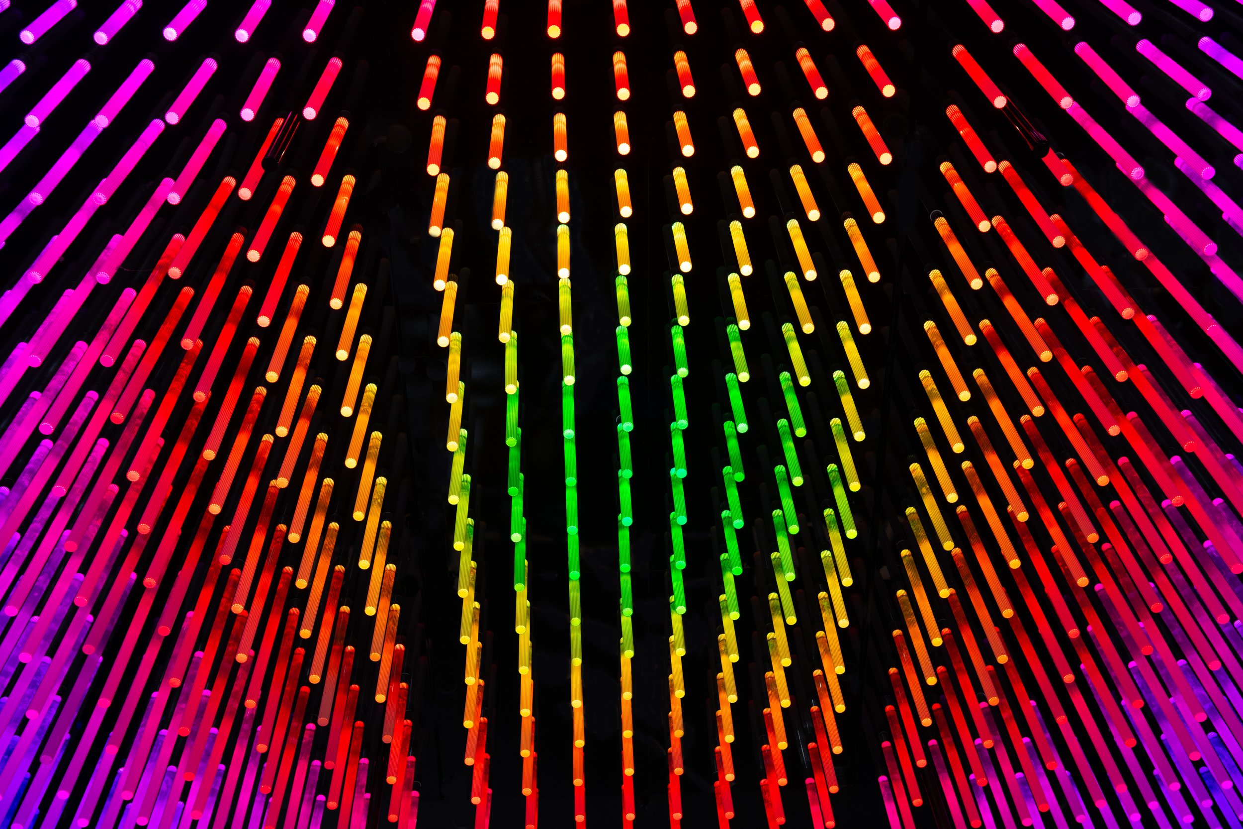 Rainbow lights.jpg