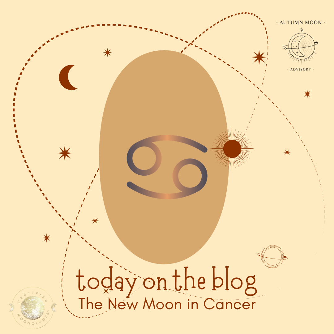 New Moon in Cancer: Building Secure Foundations