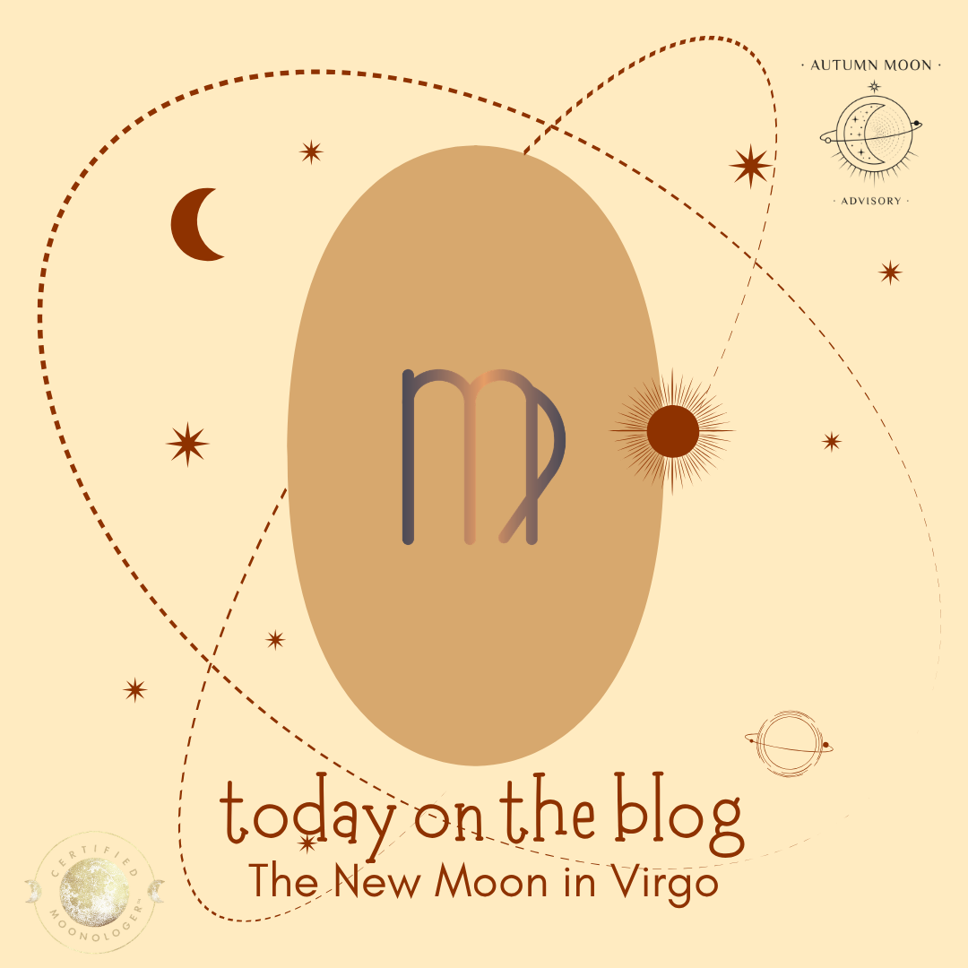 Practical Magic &amp; Daily Habits