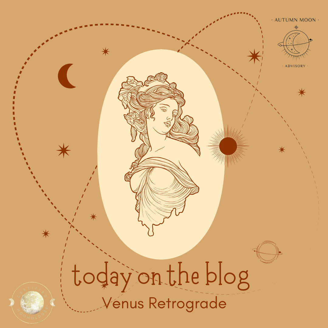 The Venus Retrograde Review