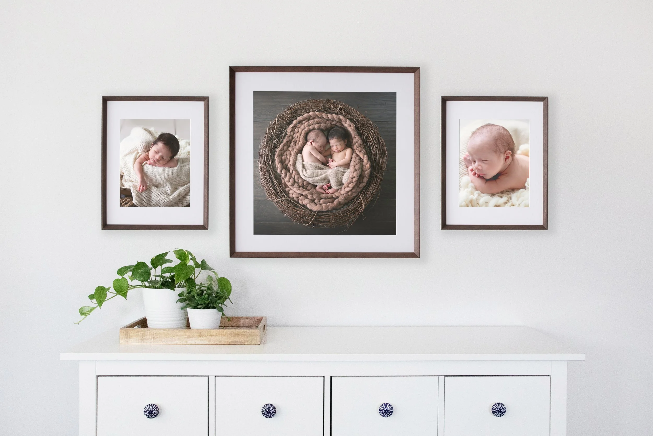 Newborn Portrait Pricing — Jessica Ryles Photography