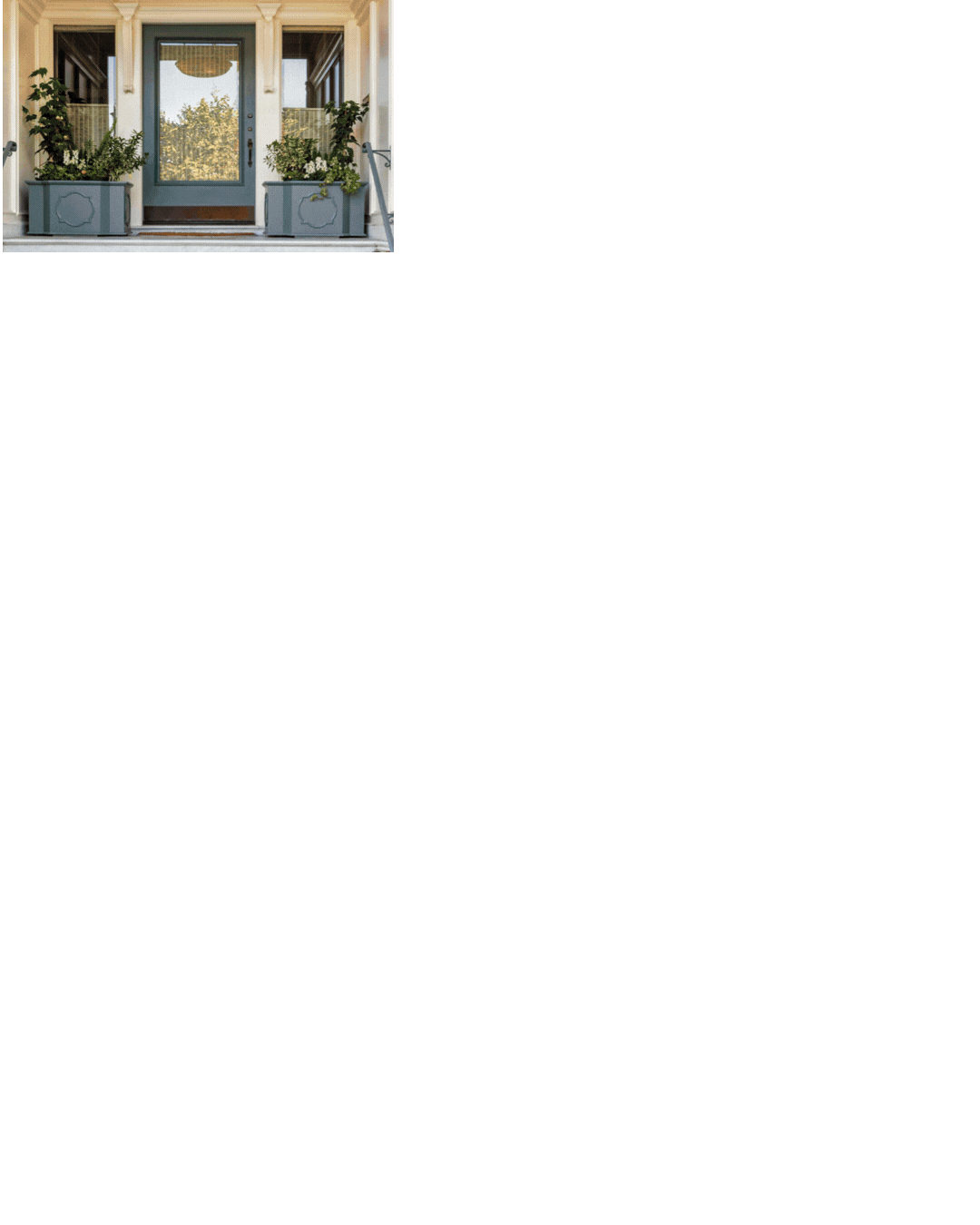 Animate mood board and branding deliverables