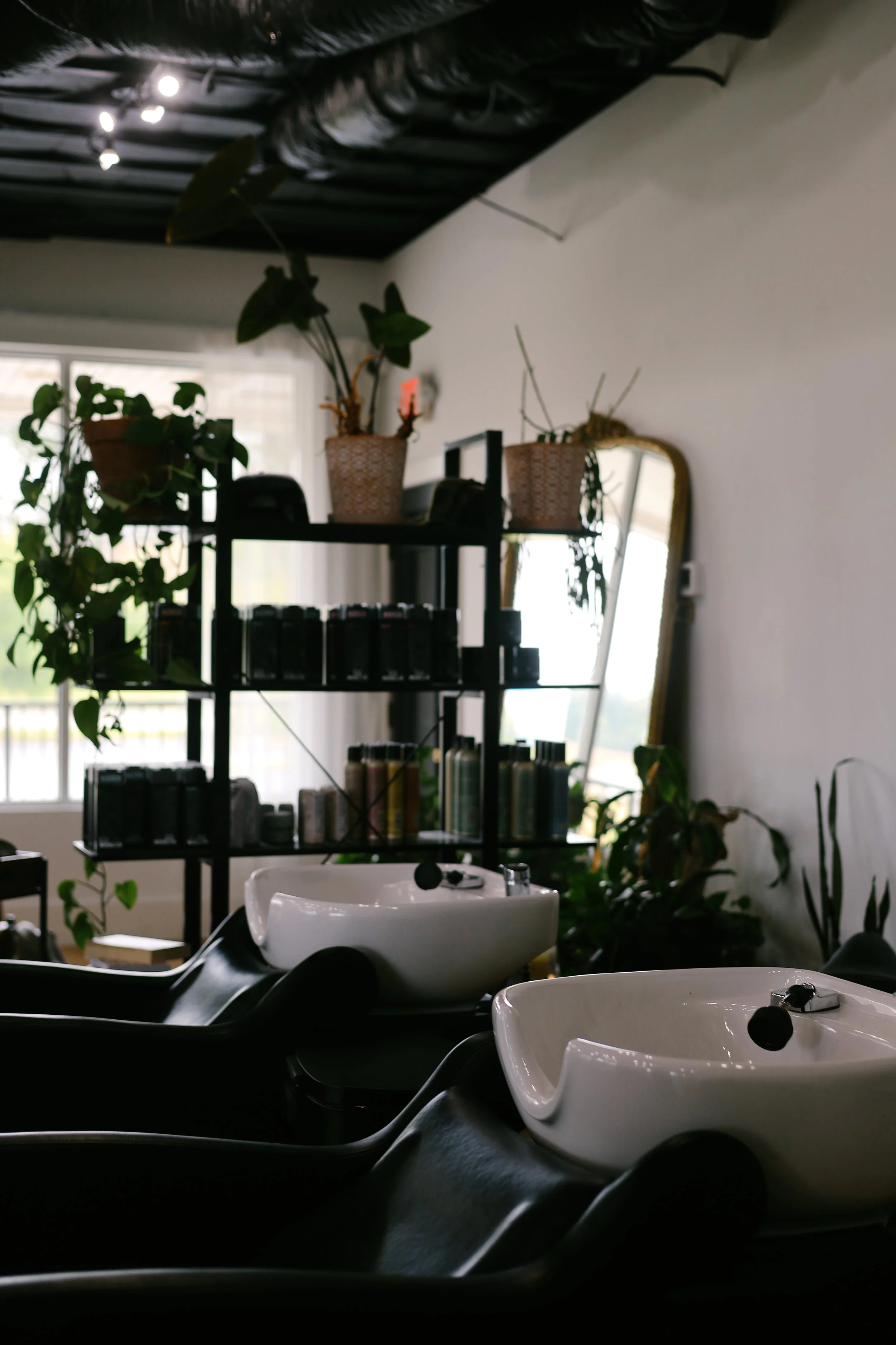 Interior of a hair salon with wash basins, potted plants, a window, and a mirror.