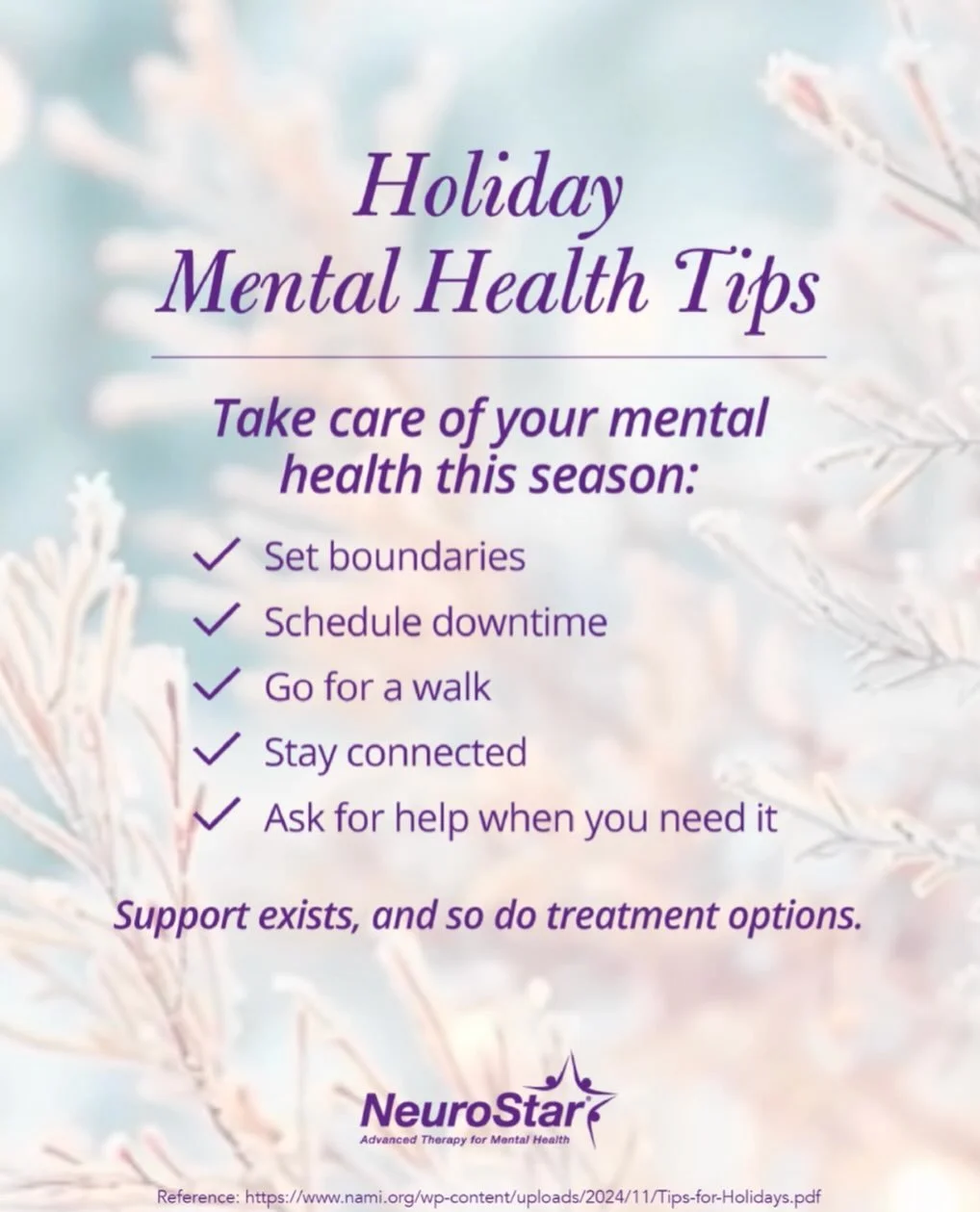 The holidays can bring connection, celebration&hellip;and stress. If this season feels heavier than usual, you&rsquo;re not alone.

Here are a few tips inspired by guidance from the National Alliance on Mental Illness (NAMI) to support mental well-be