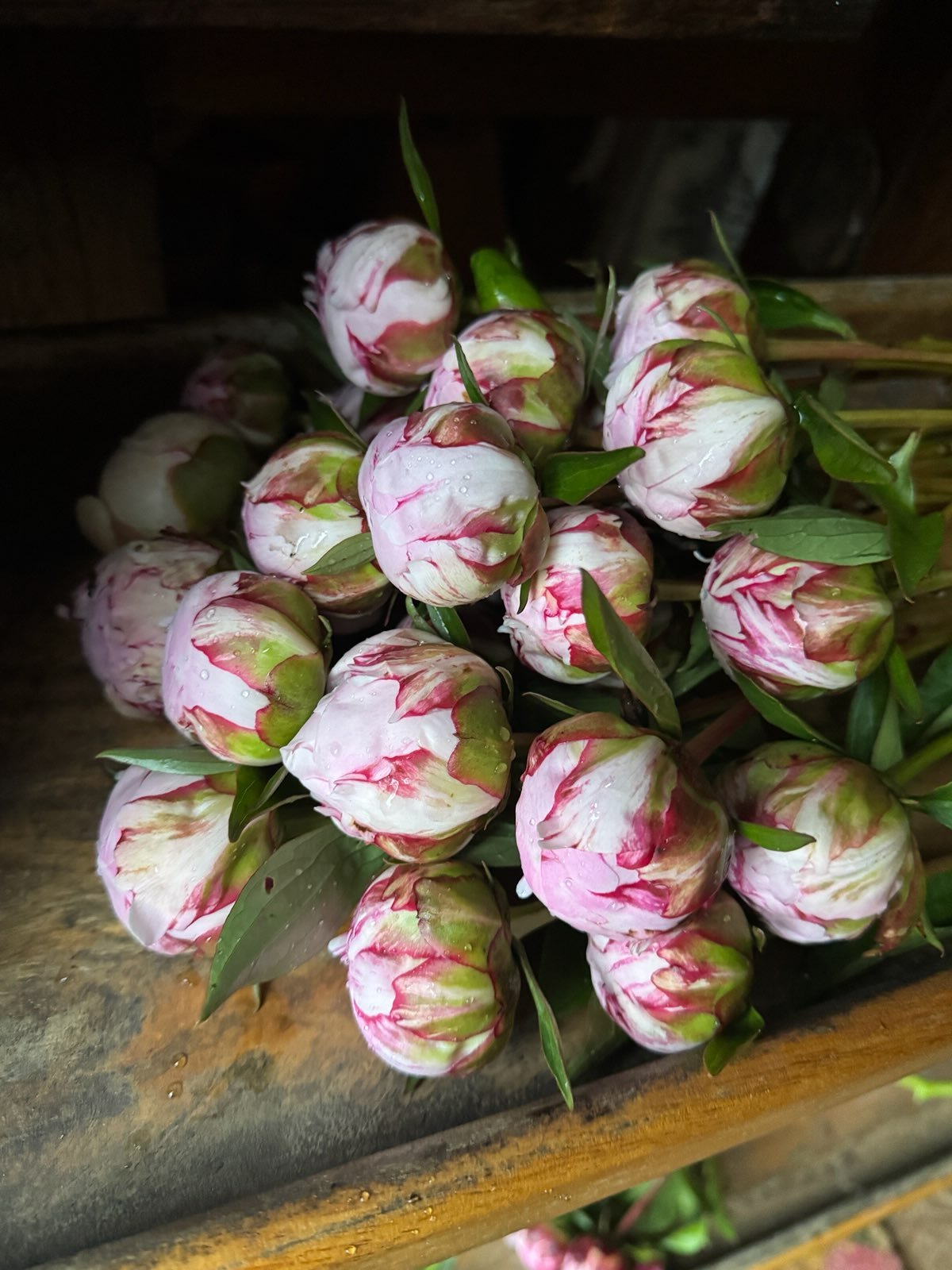 Create & Bloom Workshop Series: Peony Perfection