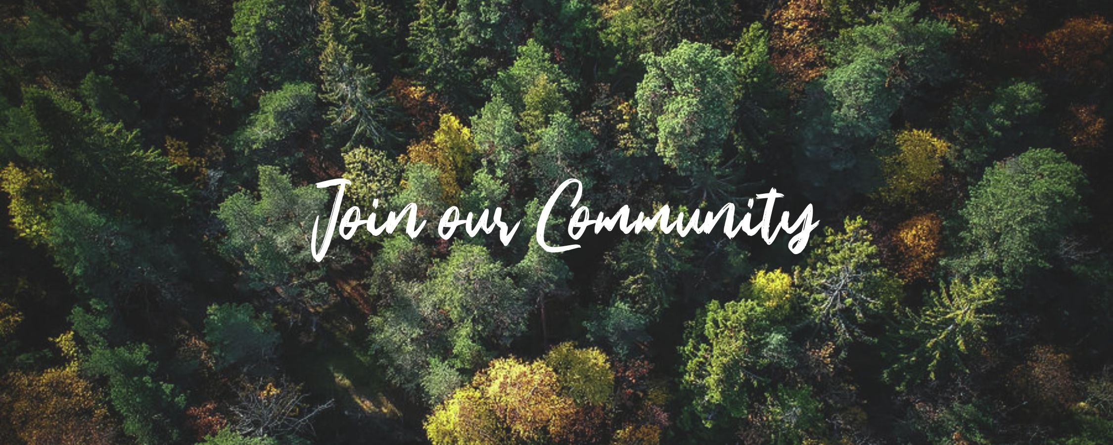 NB Banner - Community4.jpg