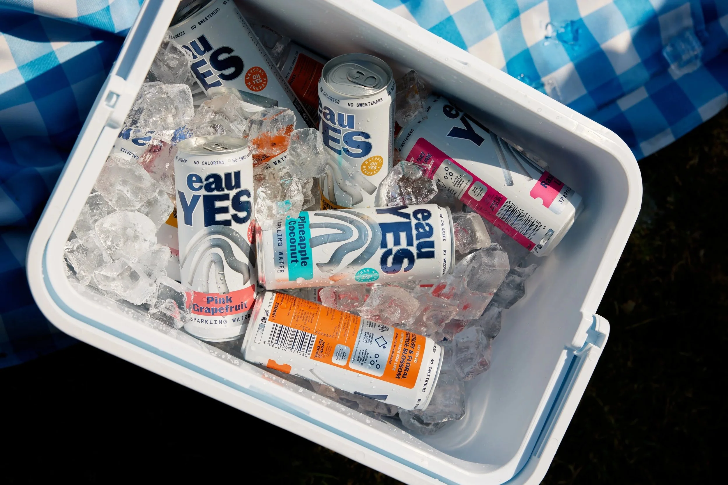 Open white cooler filled with ice and cans of eauYES flavoured sparkling mineral water, including Pineapple Coconut and Pink Grapefruit, photographed outdoors on a blue check picnic blanket.