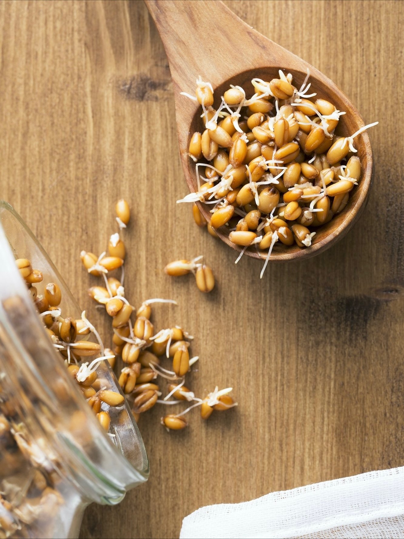 Sprouted grains: California Born and Bread 🌱 

Matt Chittock explores how US health specialist @foodforlifebaking is bringing a fresh wave of Victoria Beckham-approved sprouted grain products to the UK. 

Link in bio 🔗 👆 
.
.
.
#SproutedGrajns #Fo