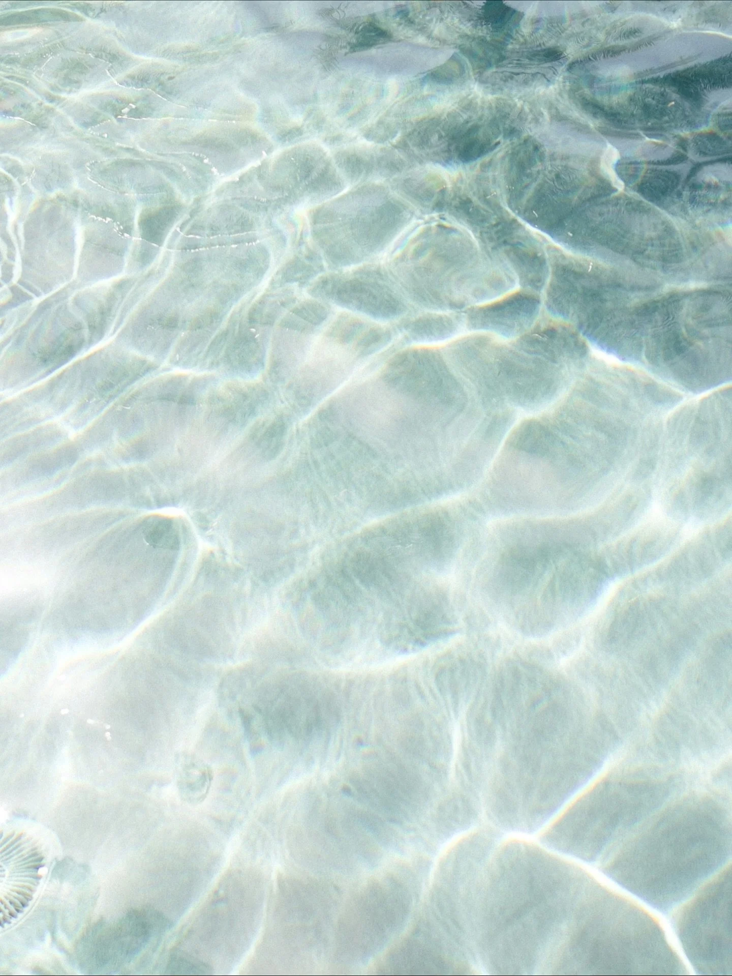 As reported in our Autumn 25 Edit; the environmental charity @citytosea_ has ended ten years of campaigning due to &lsquo;the scarcity and competitive nature of grant funding and difficult economic times for corporate partners&rsquo;. 

🔗 Read more 