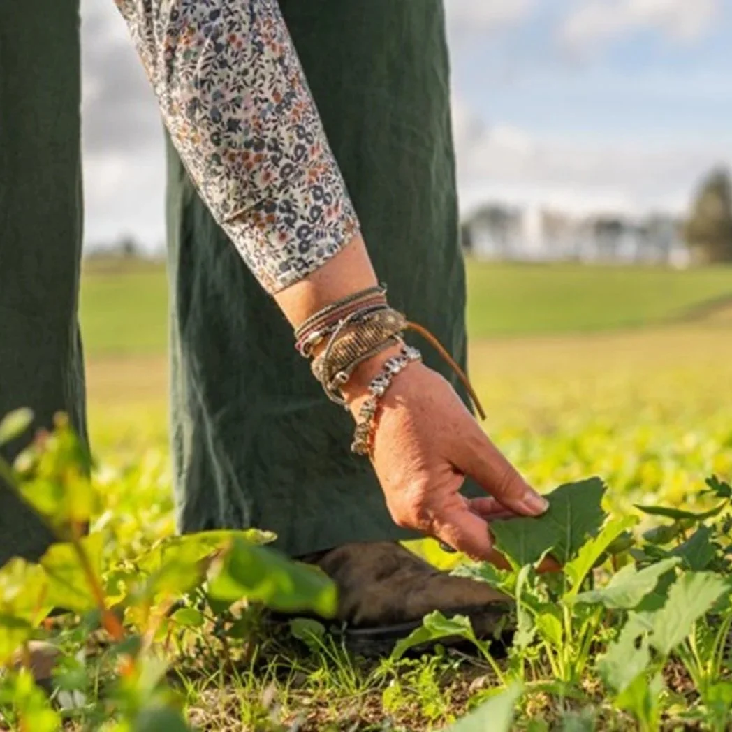 Scottish Organic Action Plan unveiled
