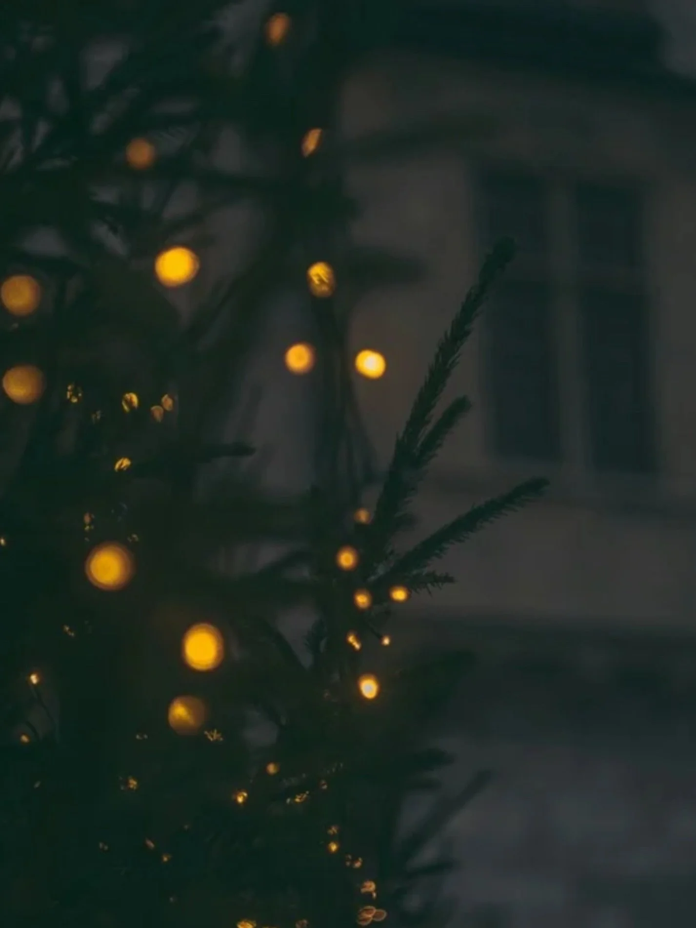 Wishing the whole Natural Brands community a very Merry Christmas! 🎄✨ 🌱 
.
.
.
#MerryChristmas #NaturalBrands