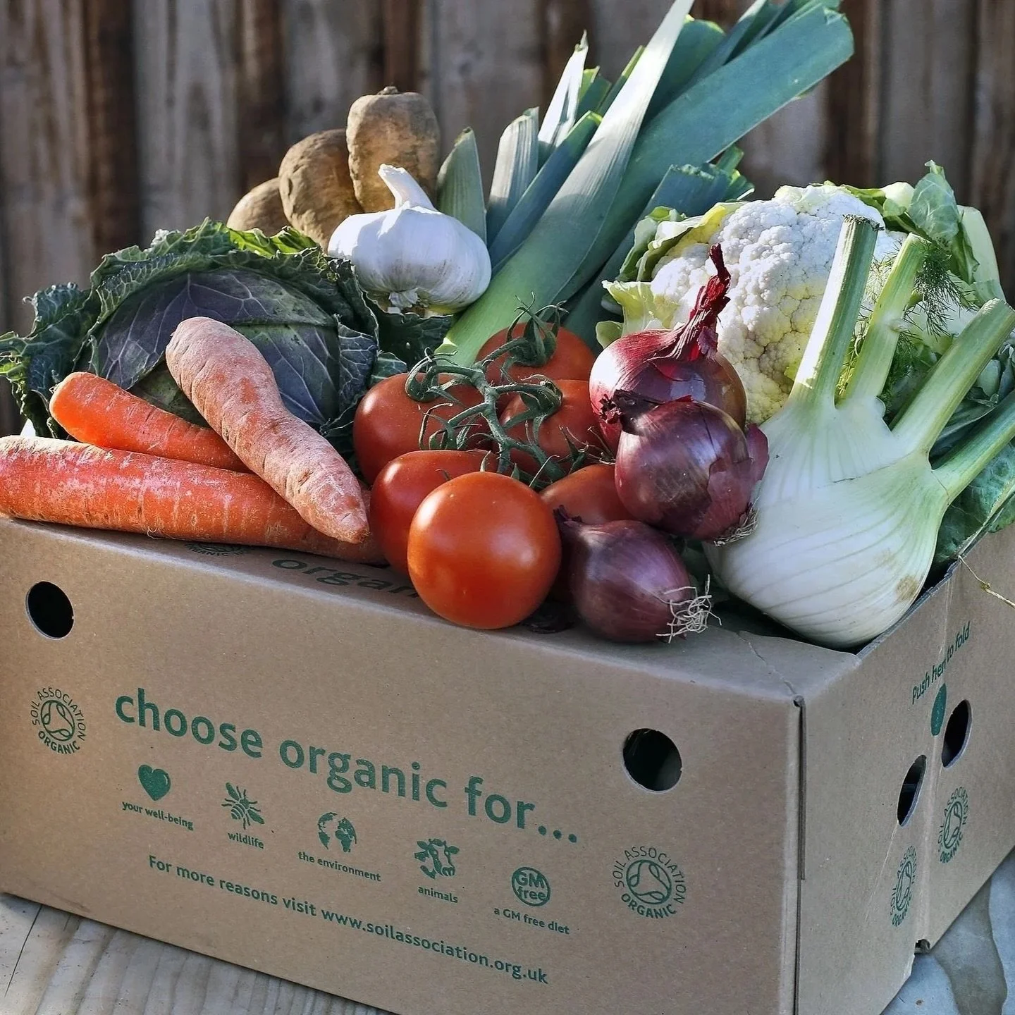 The government has confirmed that the new Sustainable Farming Incentive (SFI) will continue to support organic farming, prompting a cautious welcome from the Soil Association 🌱 

Read the full article through link in bio 👆 🔗 
.
.
.
#Organic #Organ