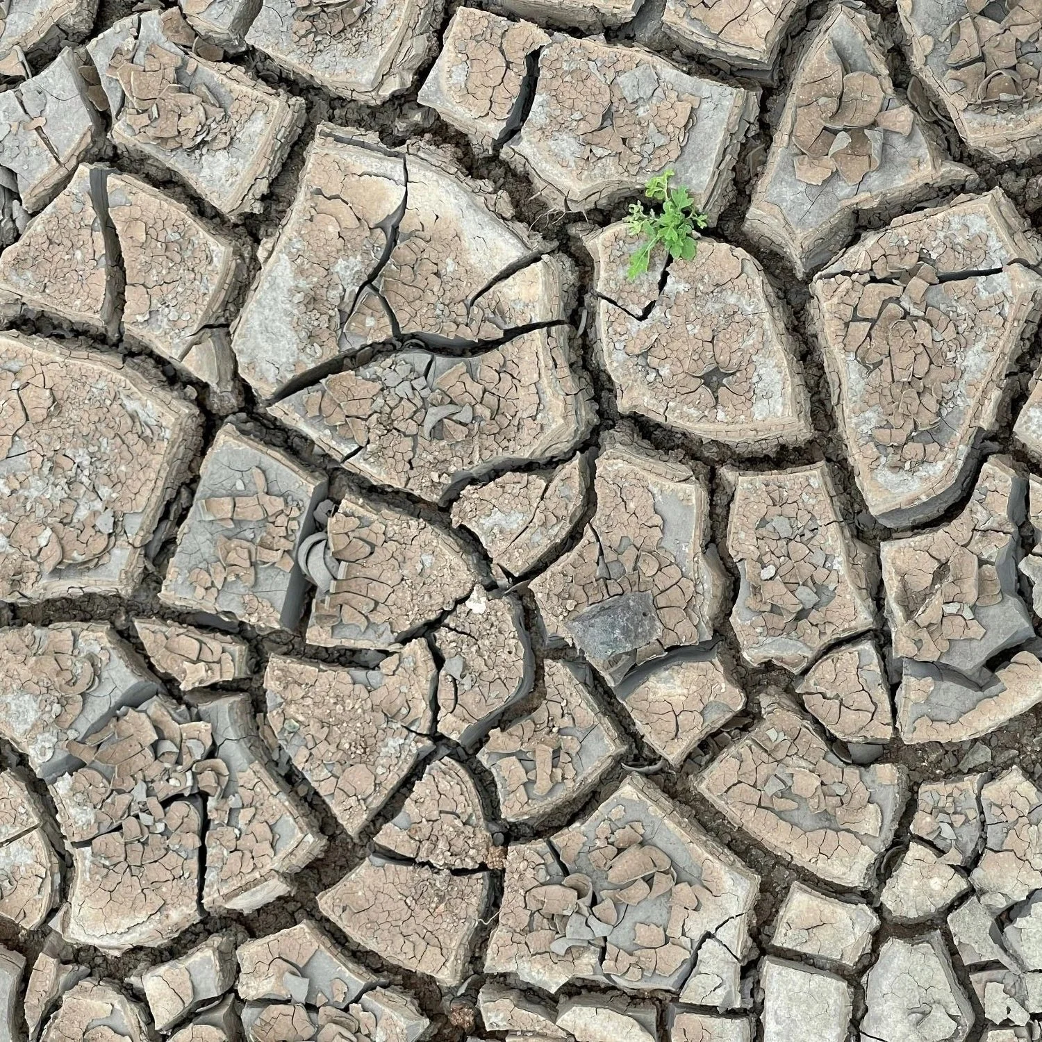 Feature: Costing the Earth