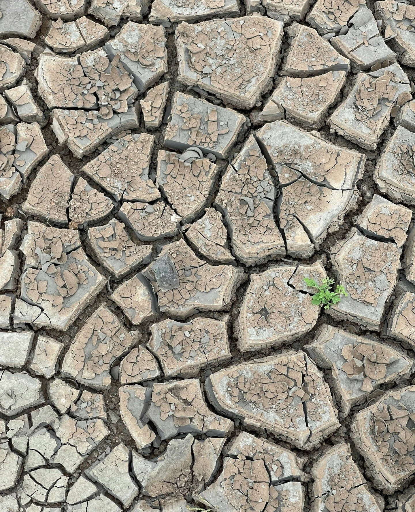 Feature: Costing the Earth 🌱 As the climate crisis sparks rising costs at the health store checkout, Matt Chittock finds out how brands working to change the world can fight back - read the full article online or in your Natural Brands Magazine now!