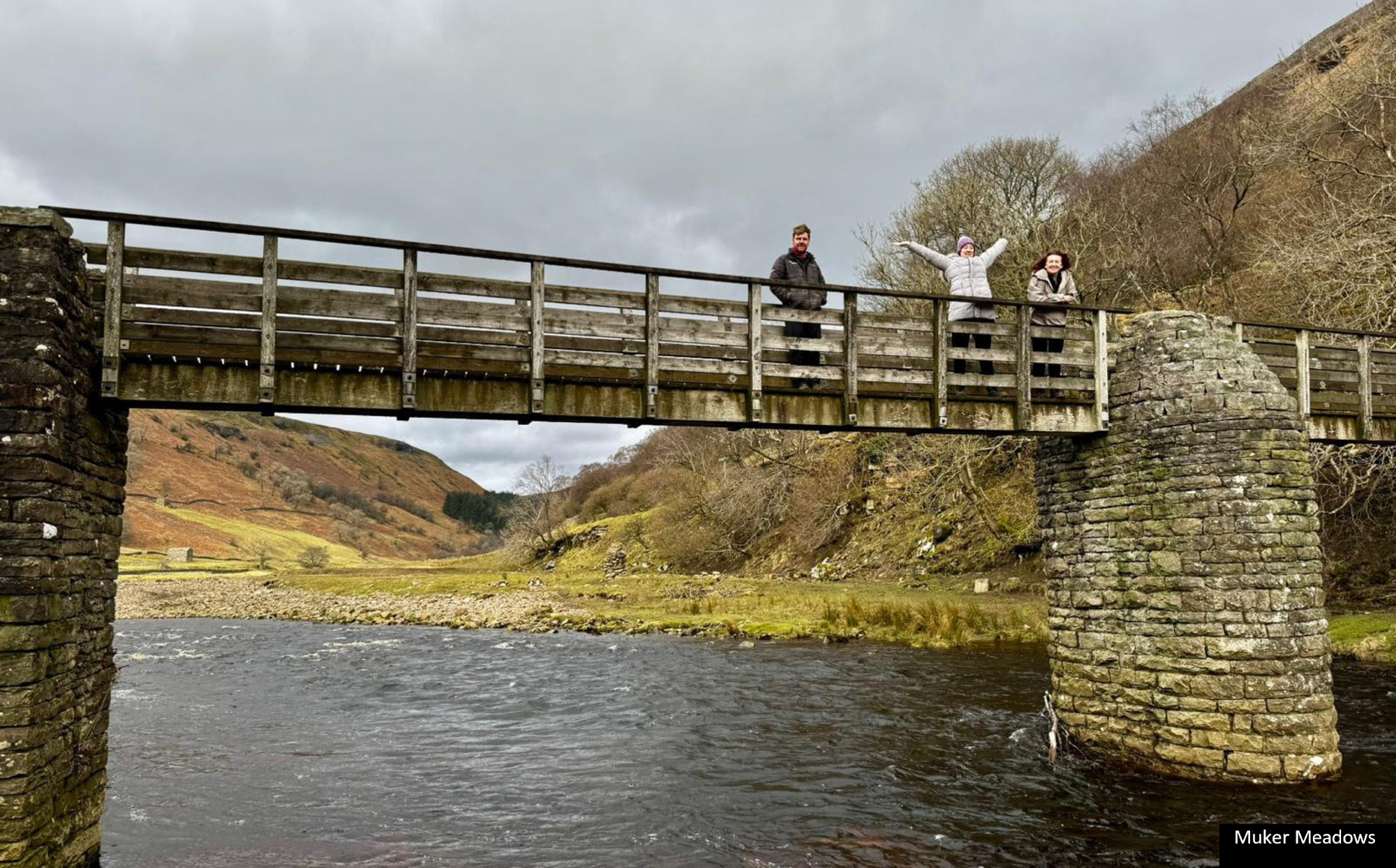 Natural Health Service Bridge.png