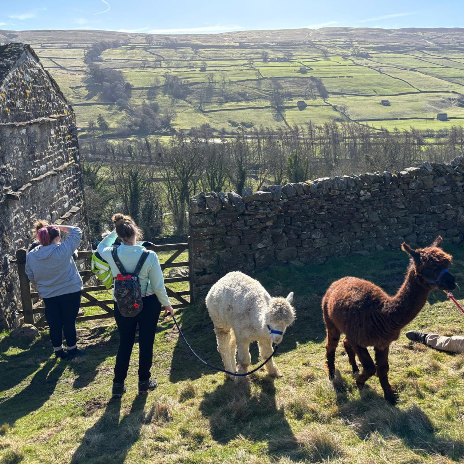 New study shows how nature can nurture wellbeing 