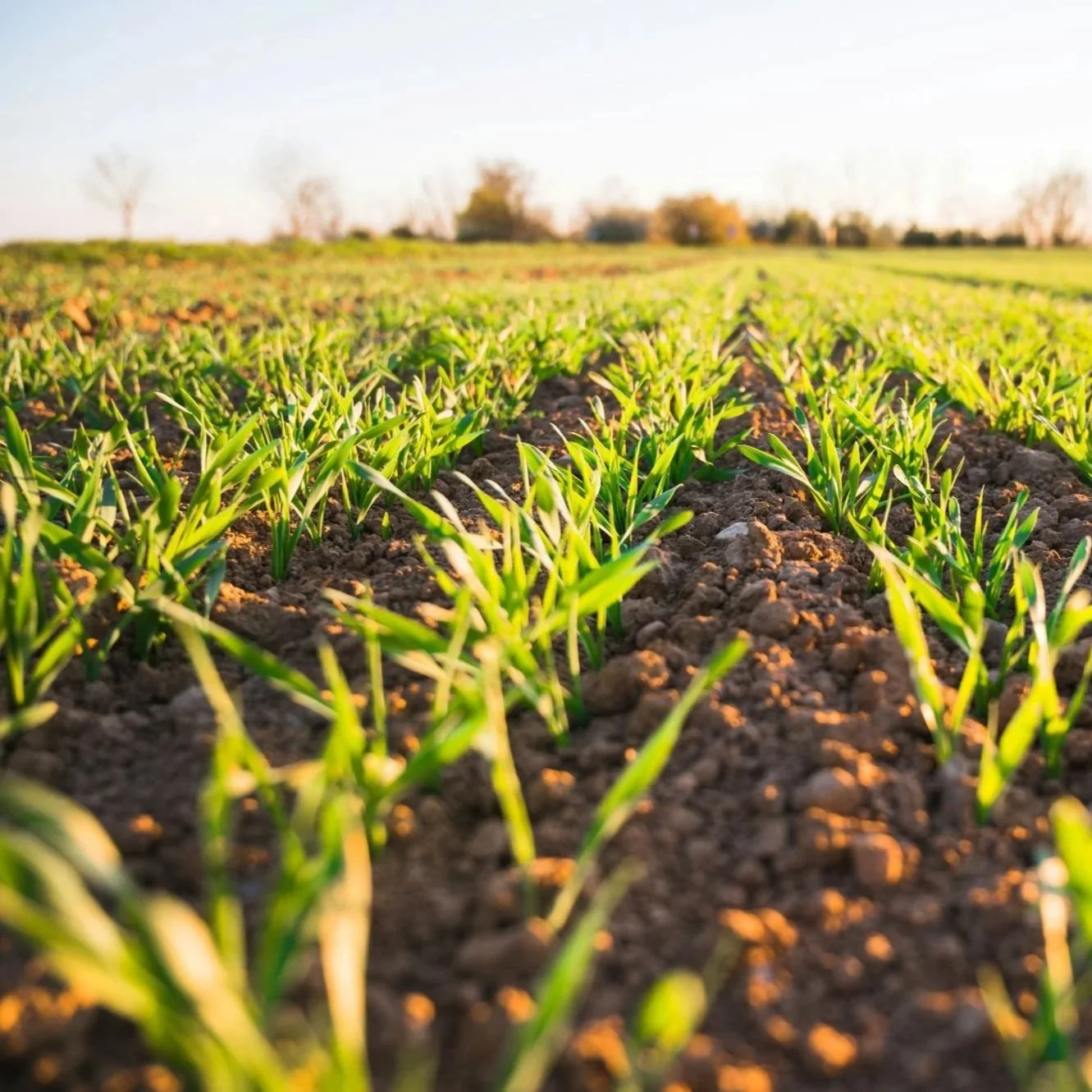 EU warned over ‘regenerative’ greenwashing