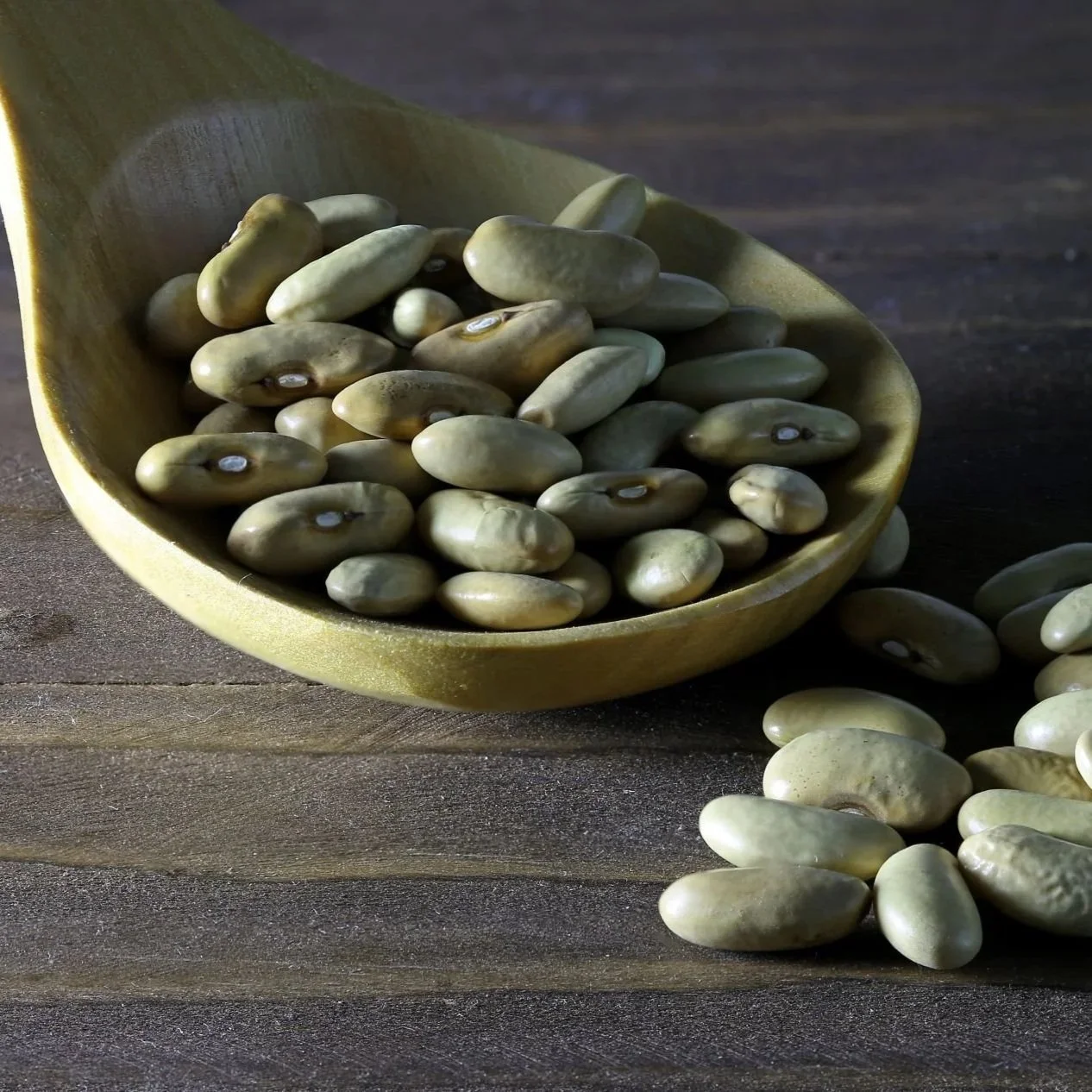 Feature: Cool Beans