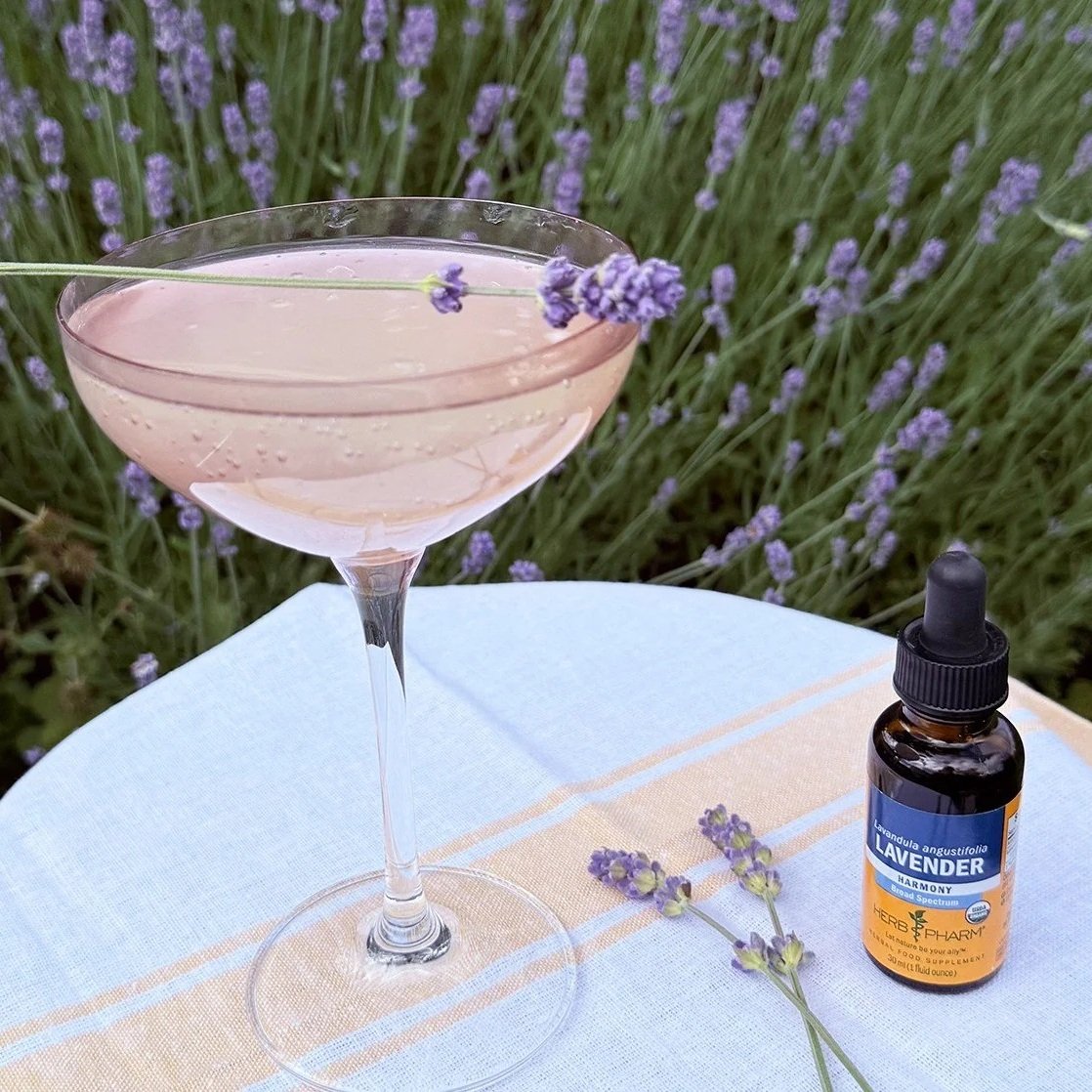 Lavender Ginger Beer Mocktail – Herb Pharm