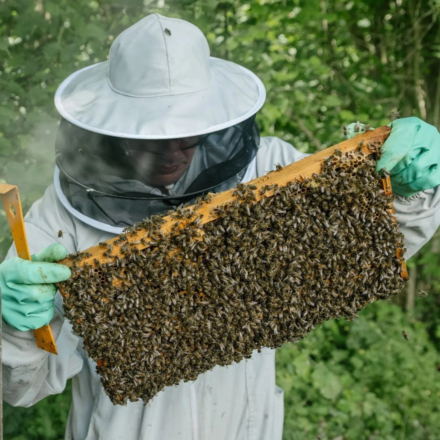 Waitrose and National Geographic launch regenerative farming series