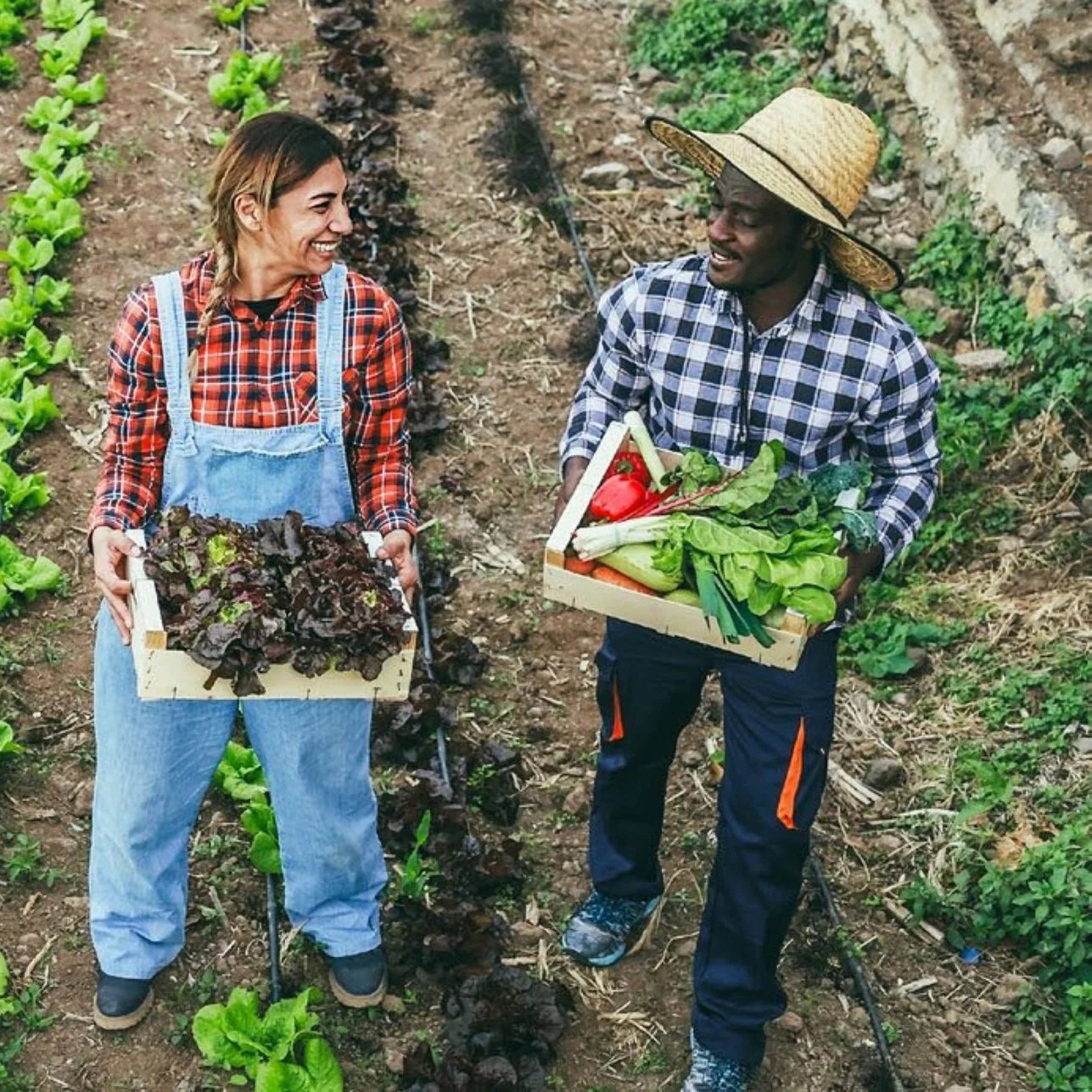 New report reveals cost of climate change for farmers and shoppers 