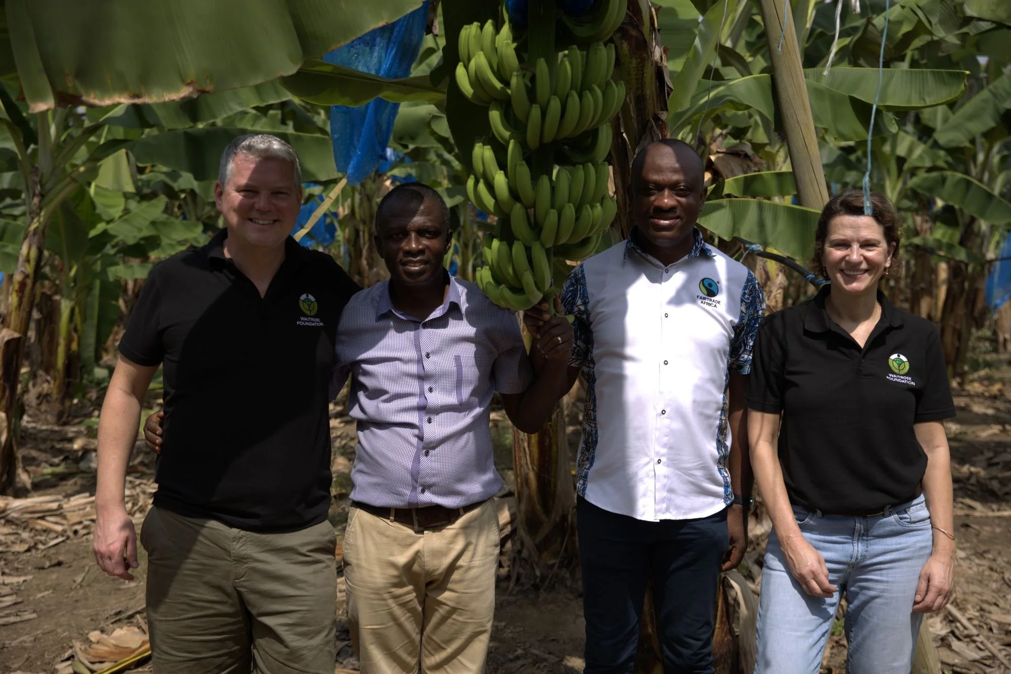 Four adults standing together in a banana plantation, smiling beside a large bunch of bananas hanging from a tree.