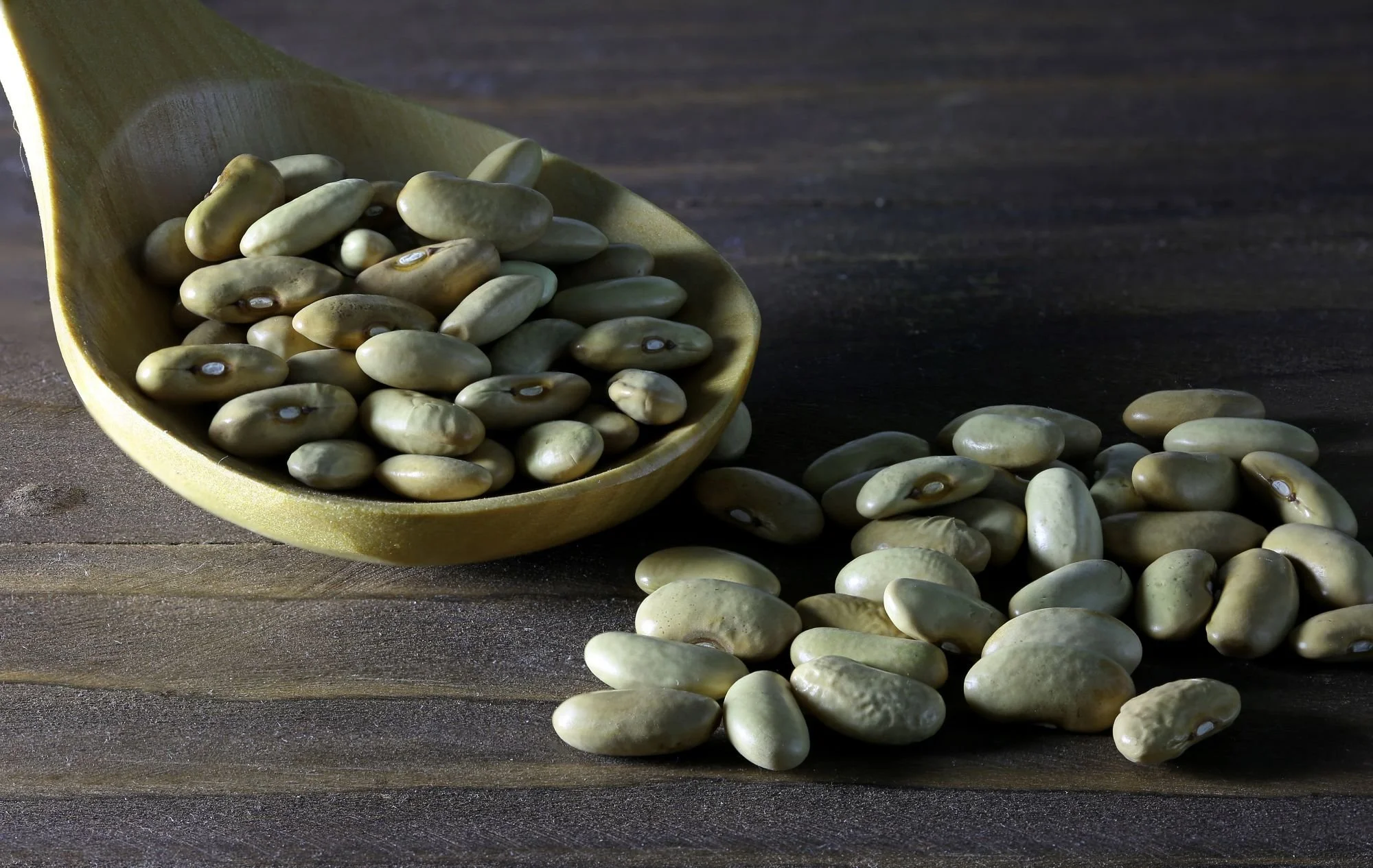 Large wooden spoon resting on a table overflowing with dried haricot beans