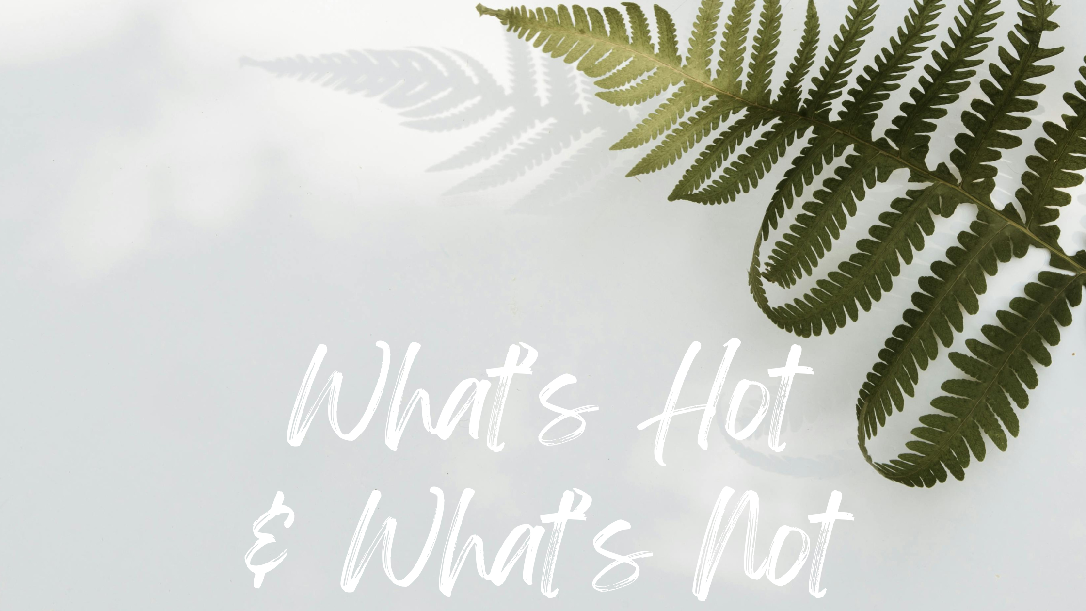 The words 'What's hot and what's not' handwritten against a neutral backdrop with a green fern.