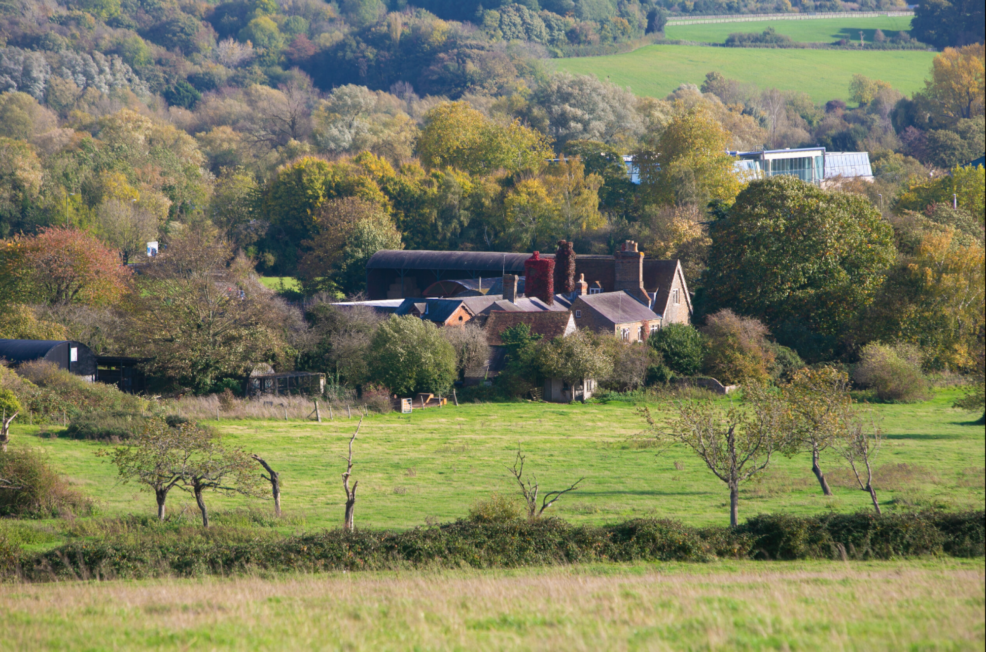 Woodoaks organic farm nestled amongst fields and trees..