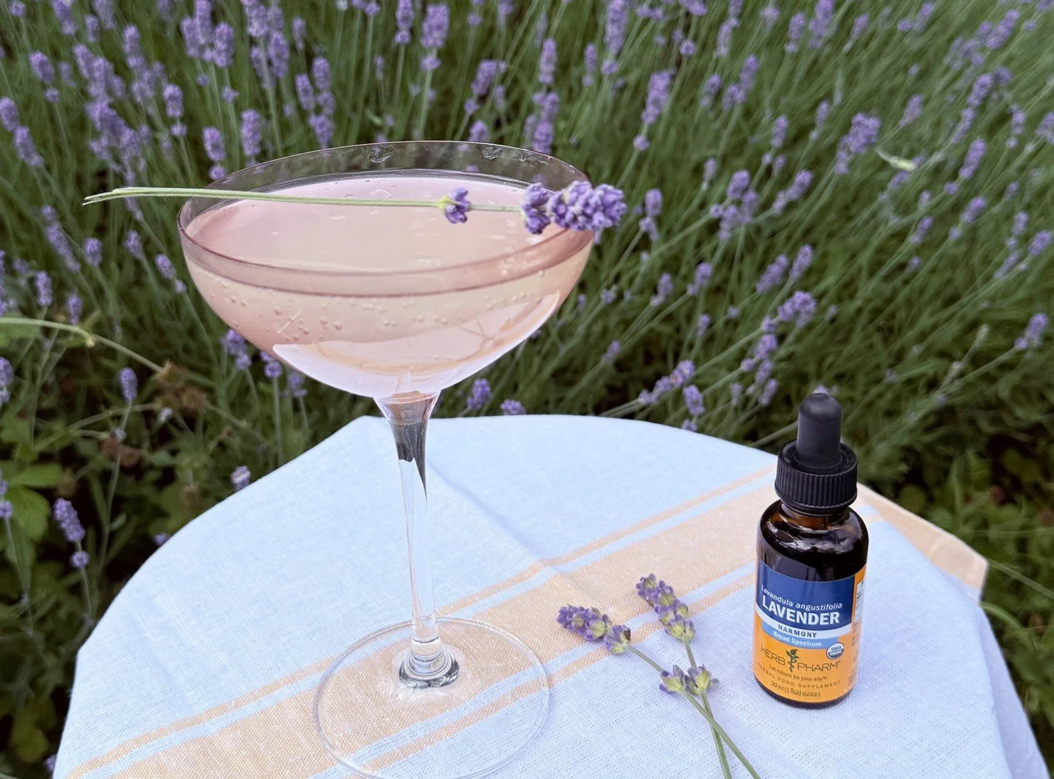 A glass of lavender ginger beer on a table next to a bottle of Herb Pharm Lavender extract in a field of lavender