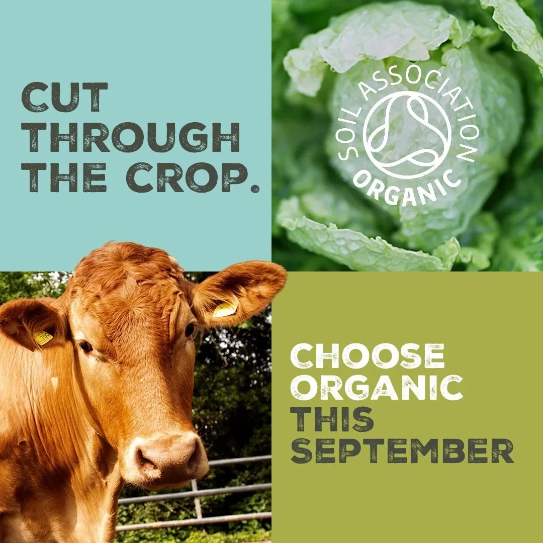 Organic September aims to ‘cut through the crop’ 