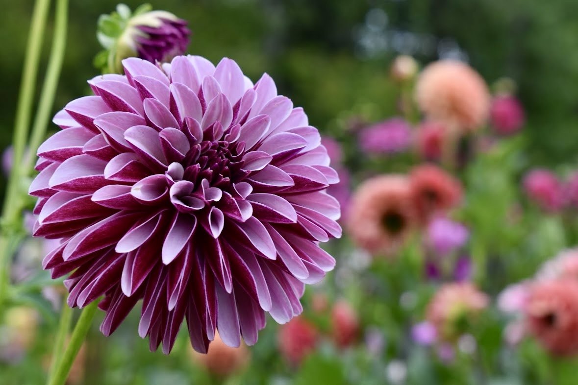 23F19F76-17AF-4EFF-81BE-BB7A62F8BD15.jpeg