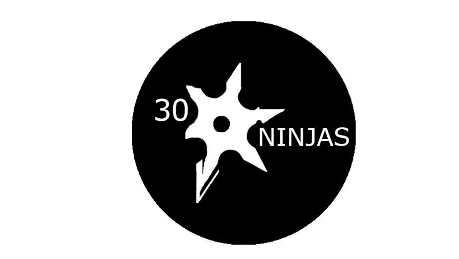 30 Ninjas.jpg