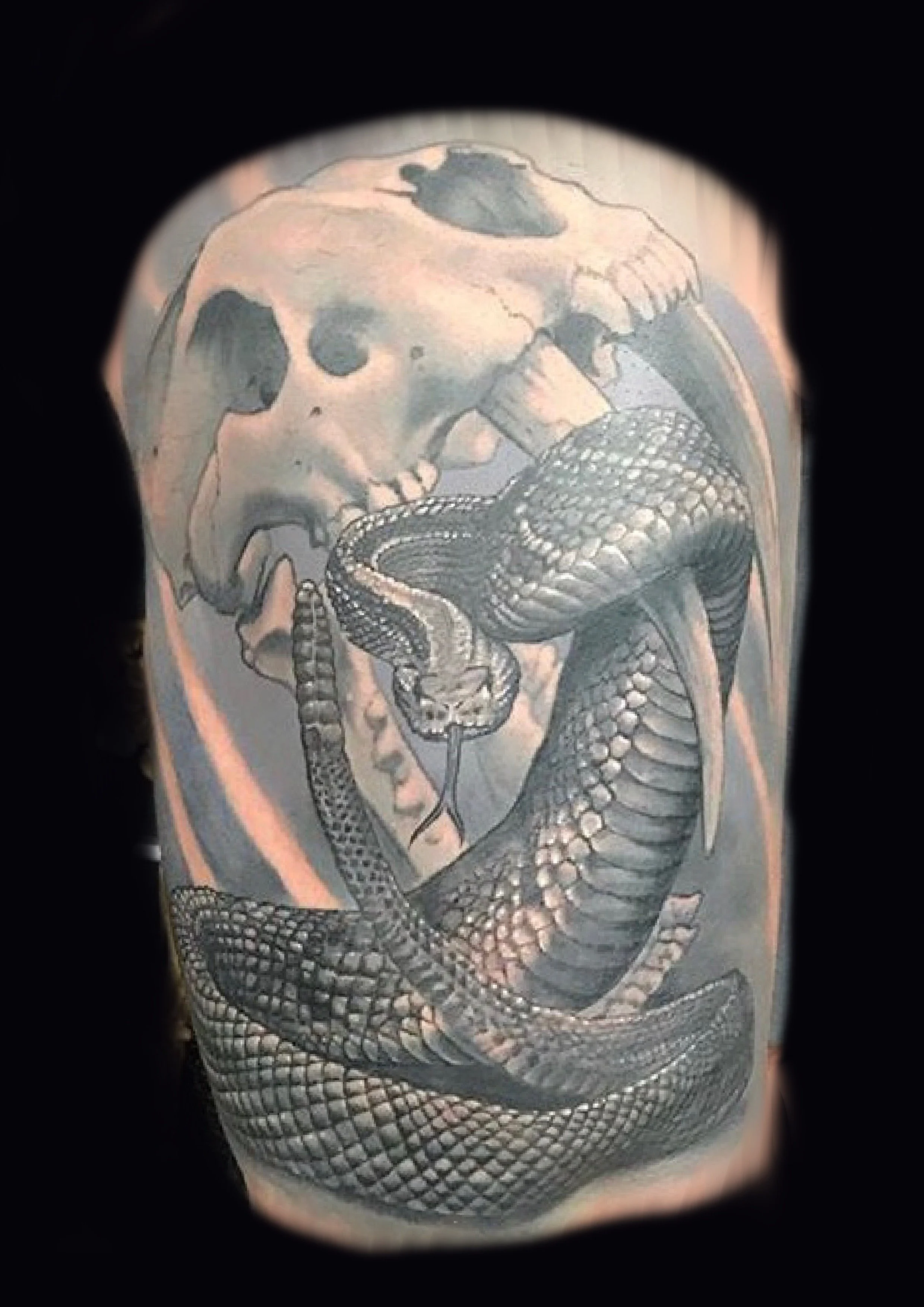 Untitled_Artwork 18.JPG