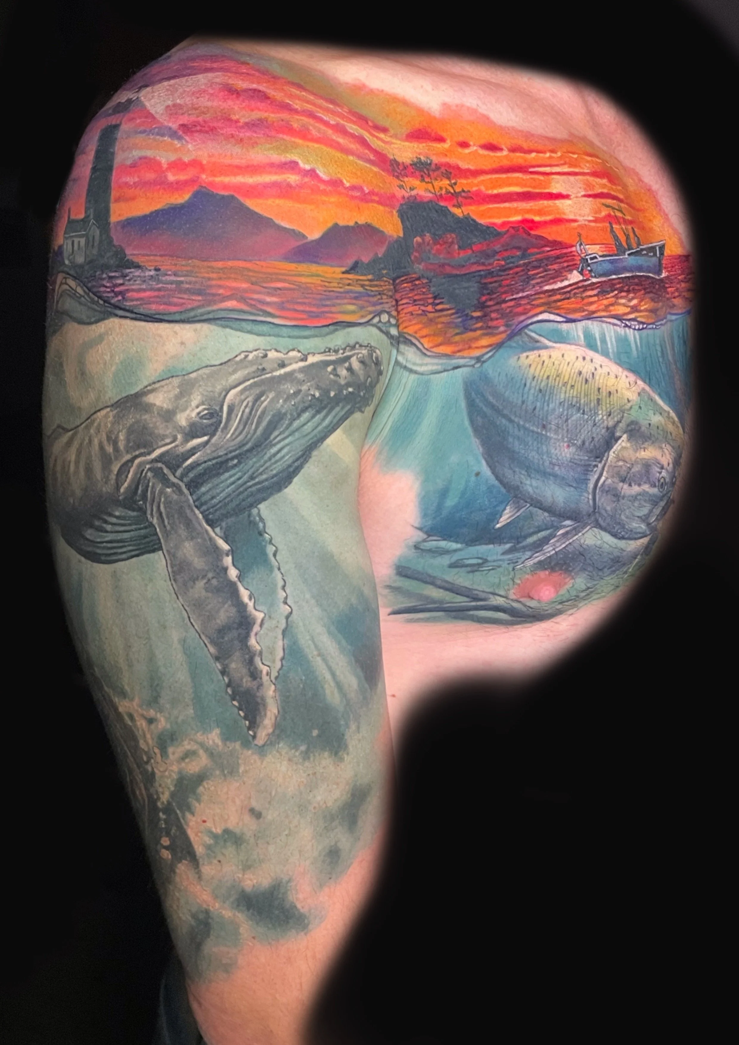 Untitled_Artwork 3 (1).JPG