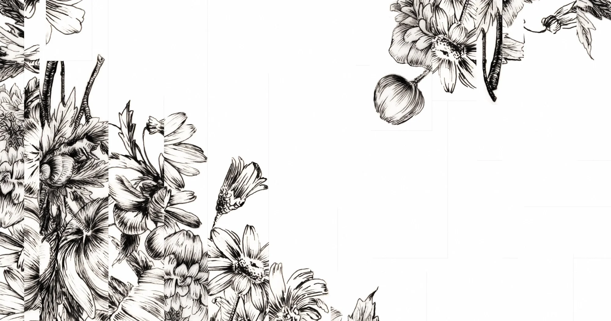 Arrangement, 19" x 10", Archival pigment print, ink on paper