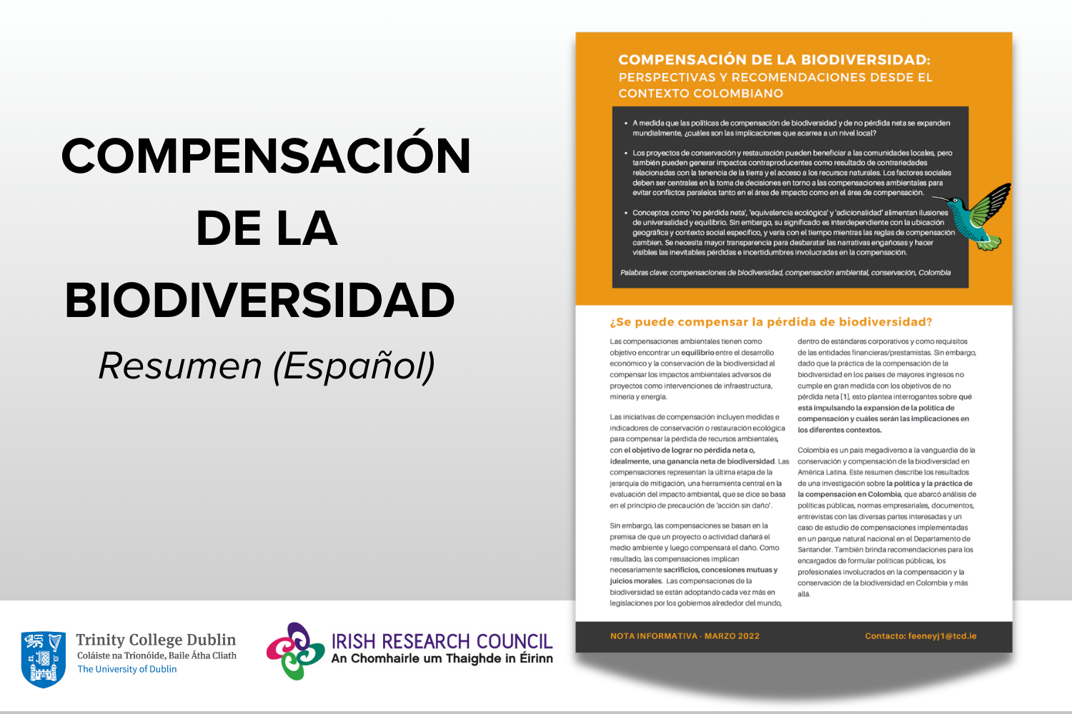 Compensación de la Biodiversidad: Perspectivas y Recomendaciones desde el Contexto Colombiano