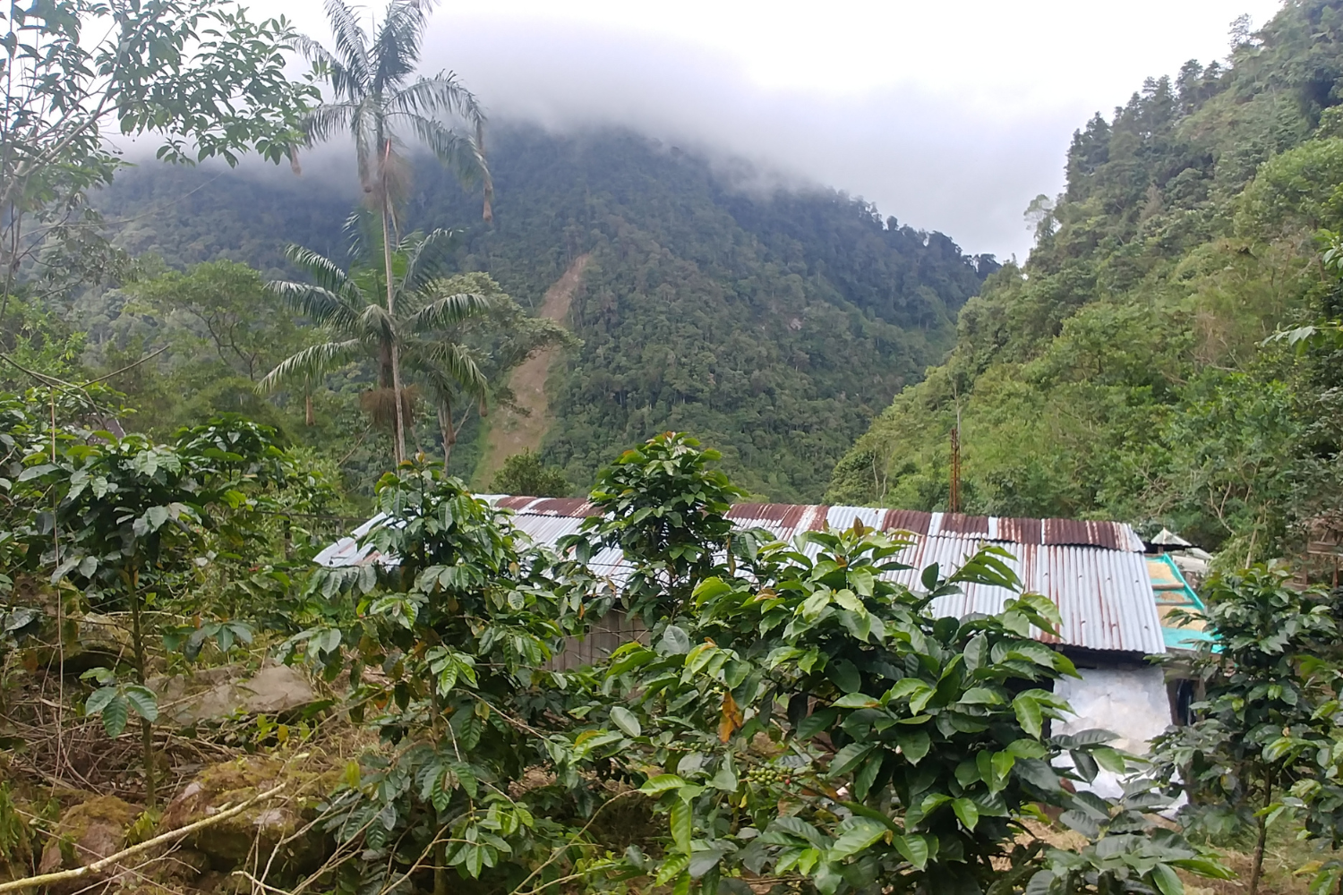 Environmental offsets in Colombia: Policy, practice and conflict