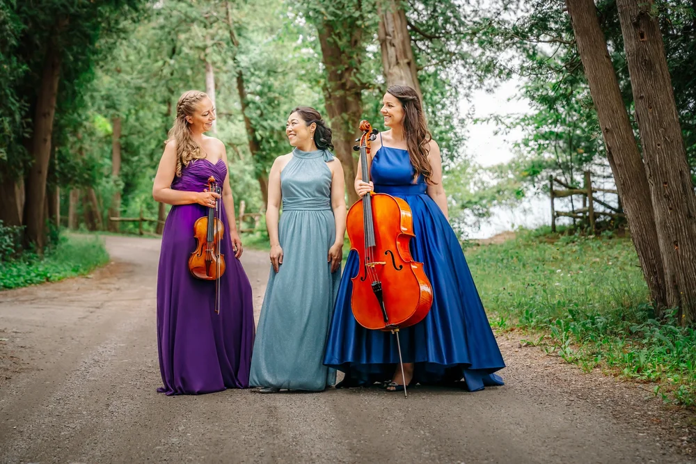 Romantic Reflections by the Champlain Trio