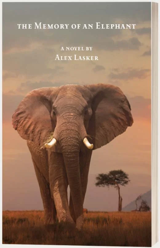 James Book Club Meeting: The Memory of an elephant