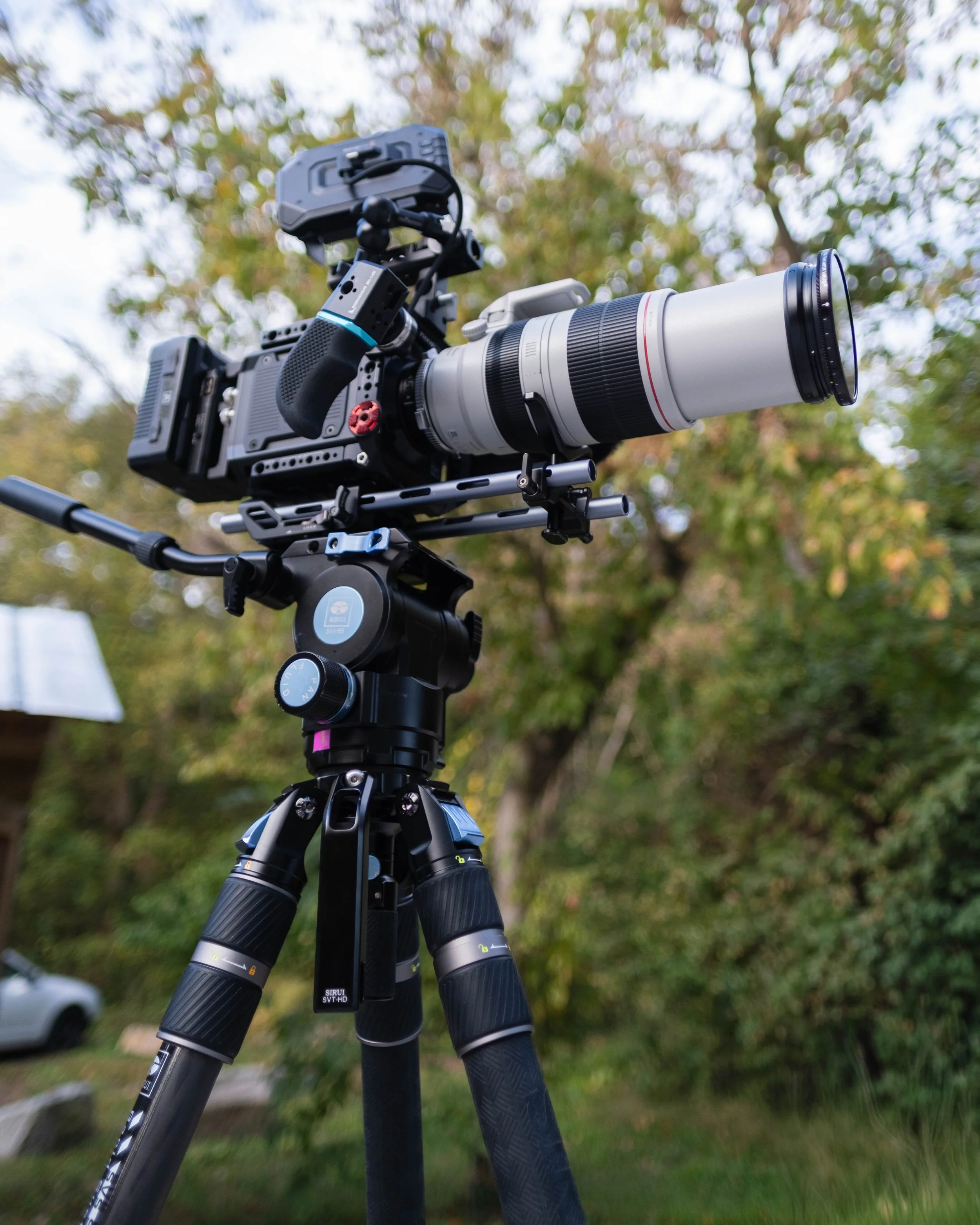 A man with glasses and a beard is filming outdoors using a professional camera stabilizer rig, standing on a grassy field with trees in the background.