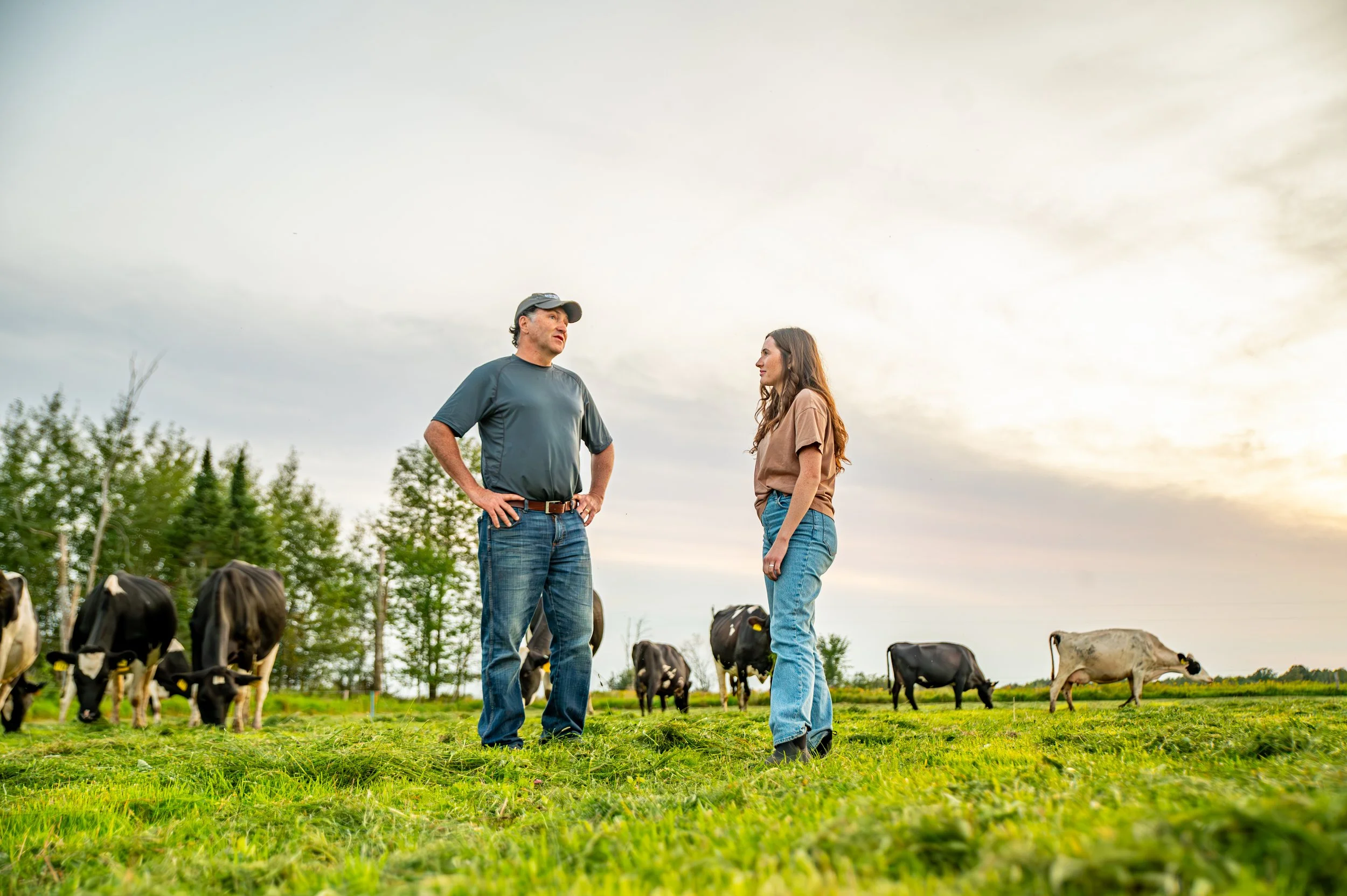 A man and a woman standing in a green field with cows grazing behind them, engaging in conversation during sunset.