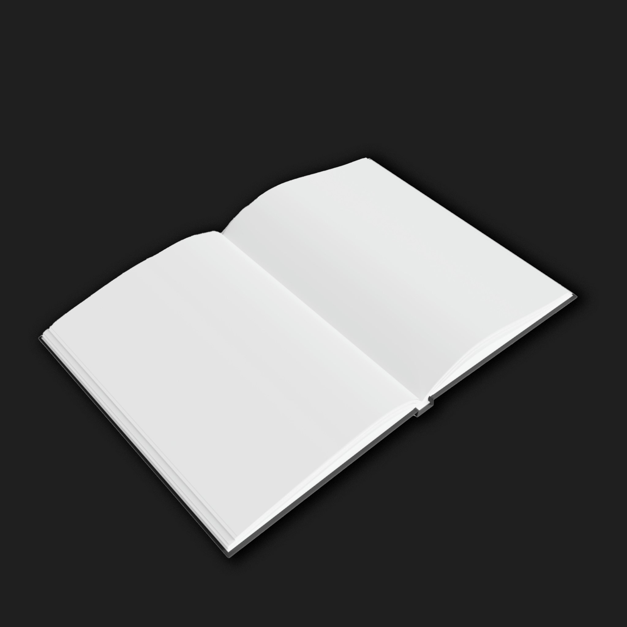 journal_notebook_sketchbook_blank_inside.jpg