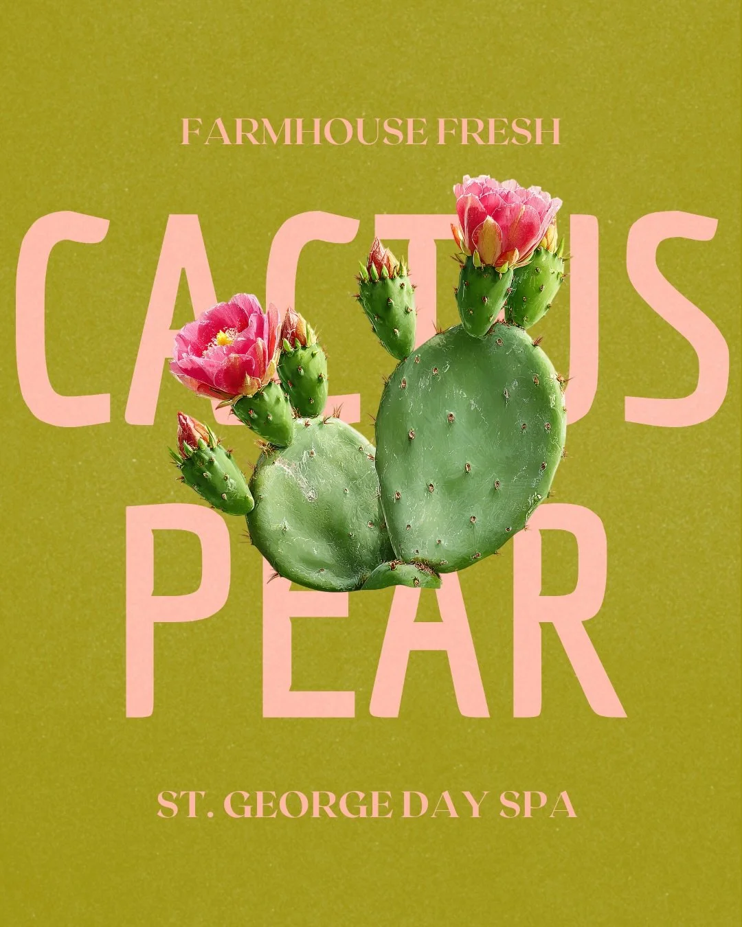 FEBRUARY🌵

This month take advantage of 10% OFF all of our @farmhousefresh Cactus Pear Davis products✨

In store only, while supplies last!

(Don't forget that our Cactus Pear Facial is also 20% OFF this month!😱)

#dryskincare #skincareproducts #st