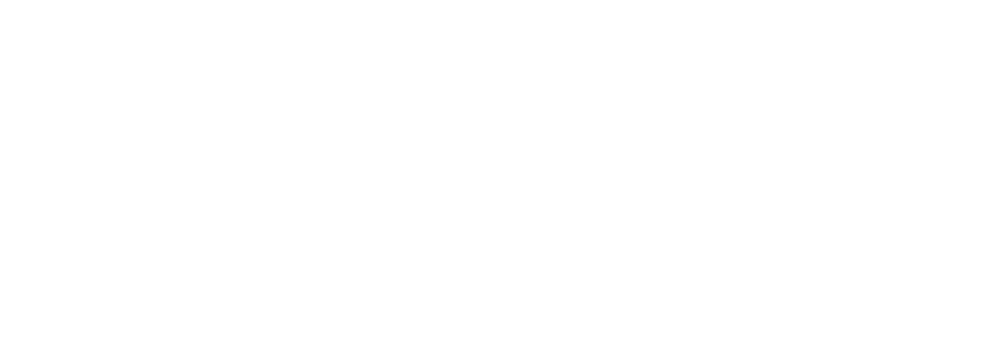 Phronetic Psychotherapy
