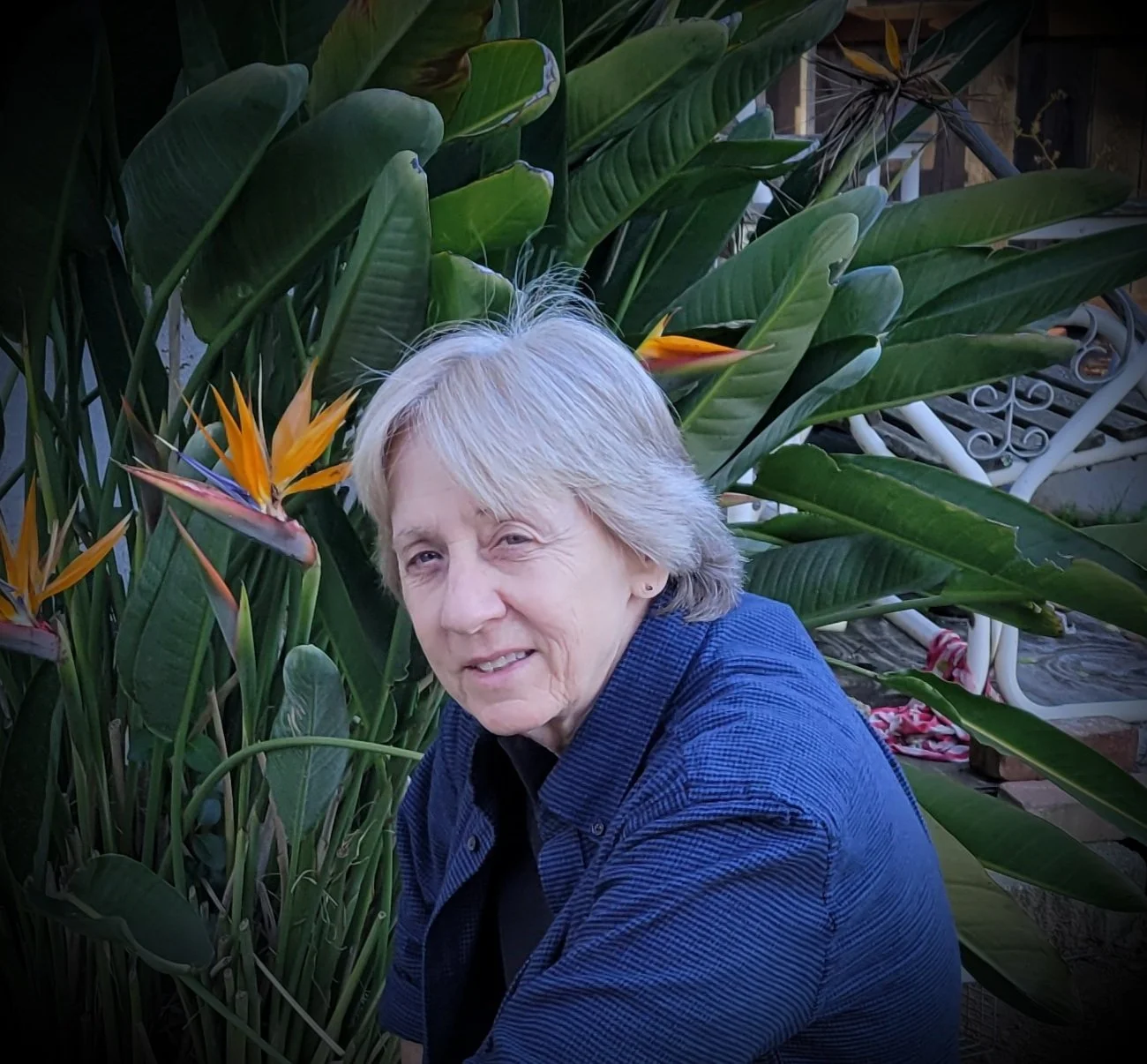 Person with short gray hair in a garden with Bird of Paradise flowers and greenery.